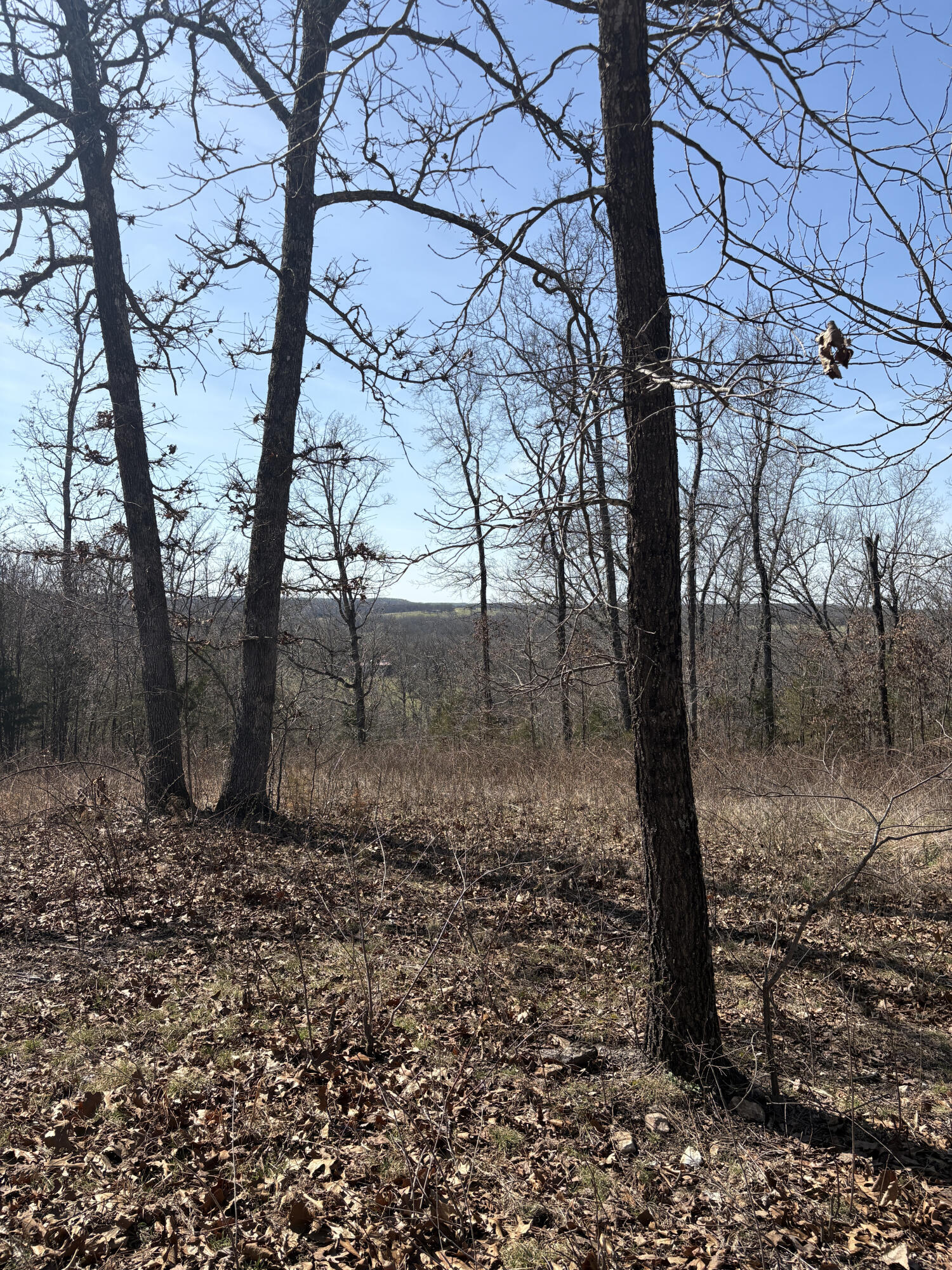 2179 Cantrell Road Property Photo 53