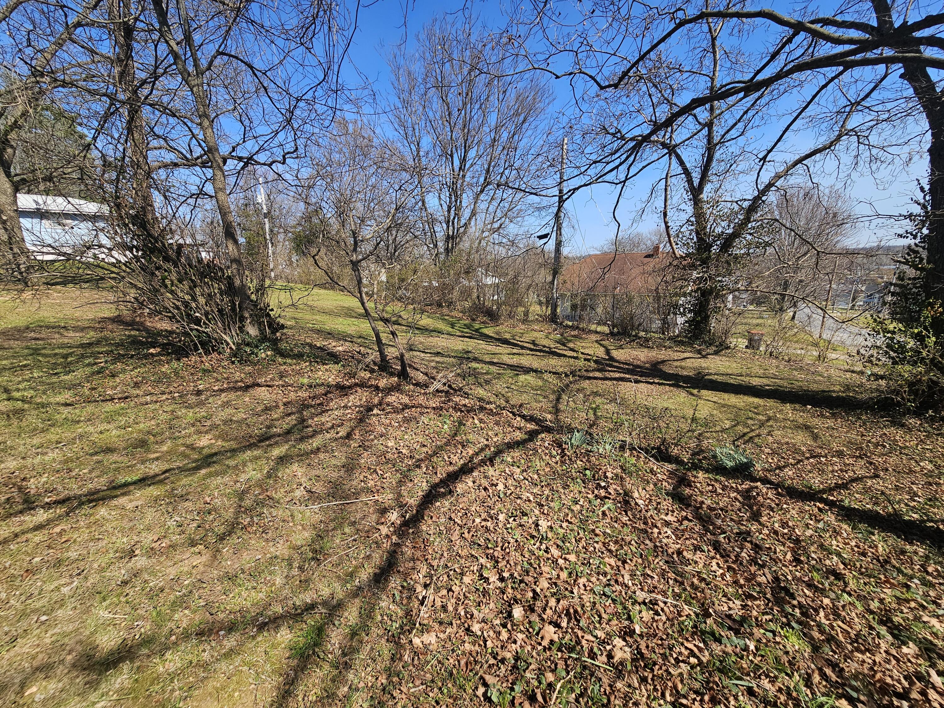 603 West 1st Street Property Photo 3