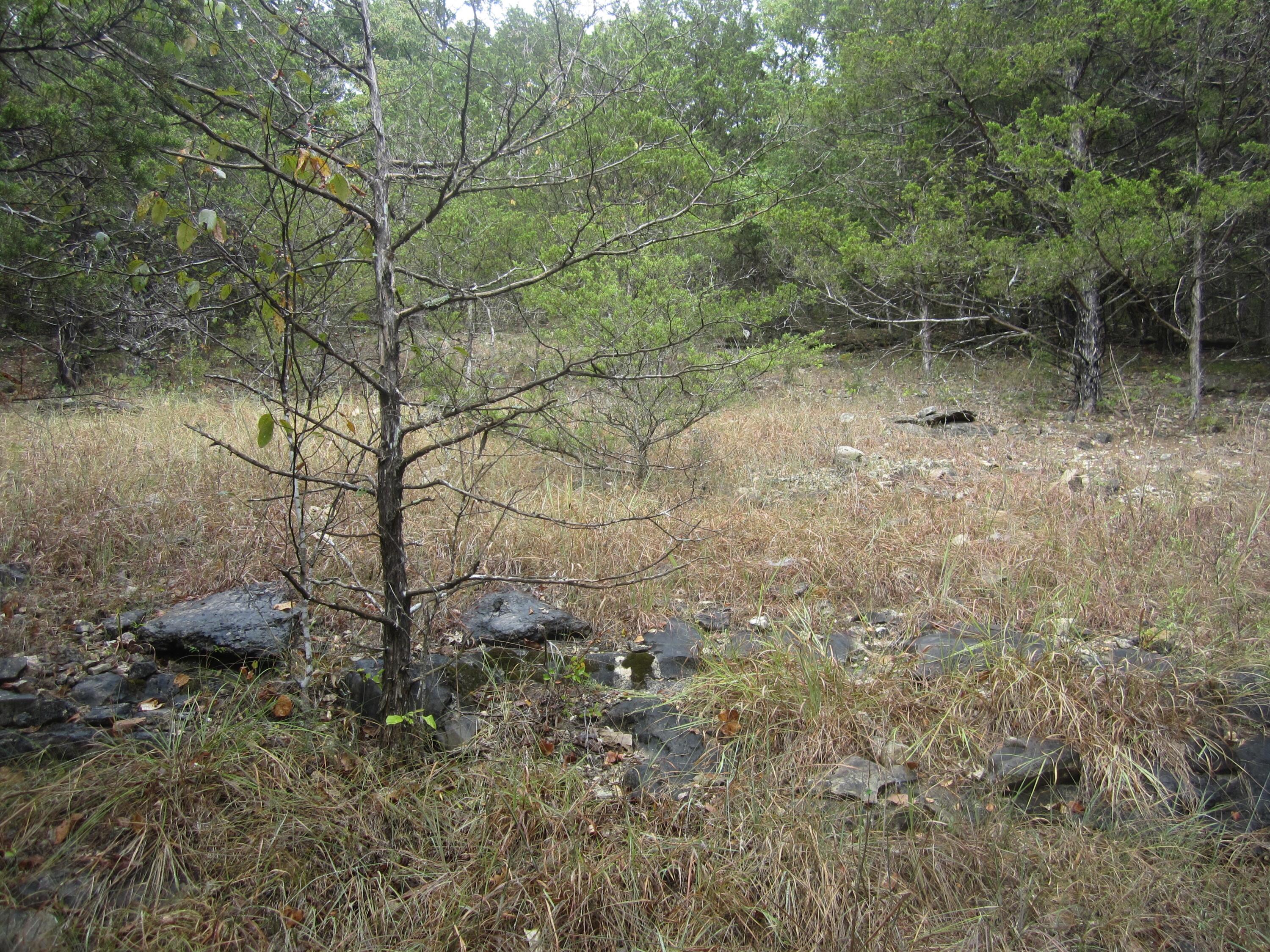 000 Map Lane Property Photo 19