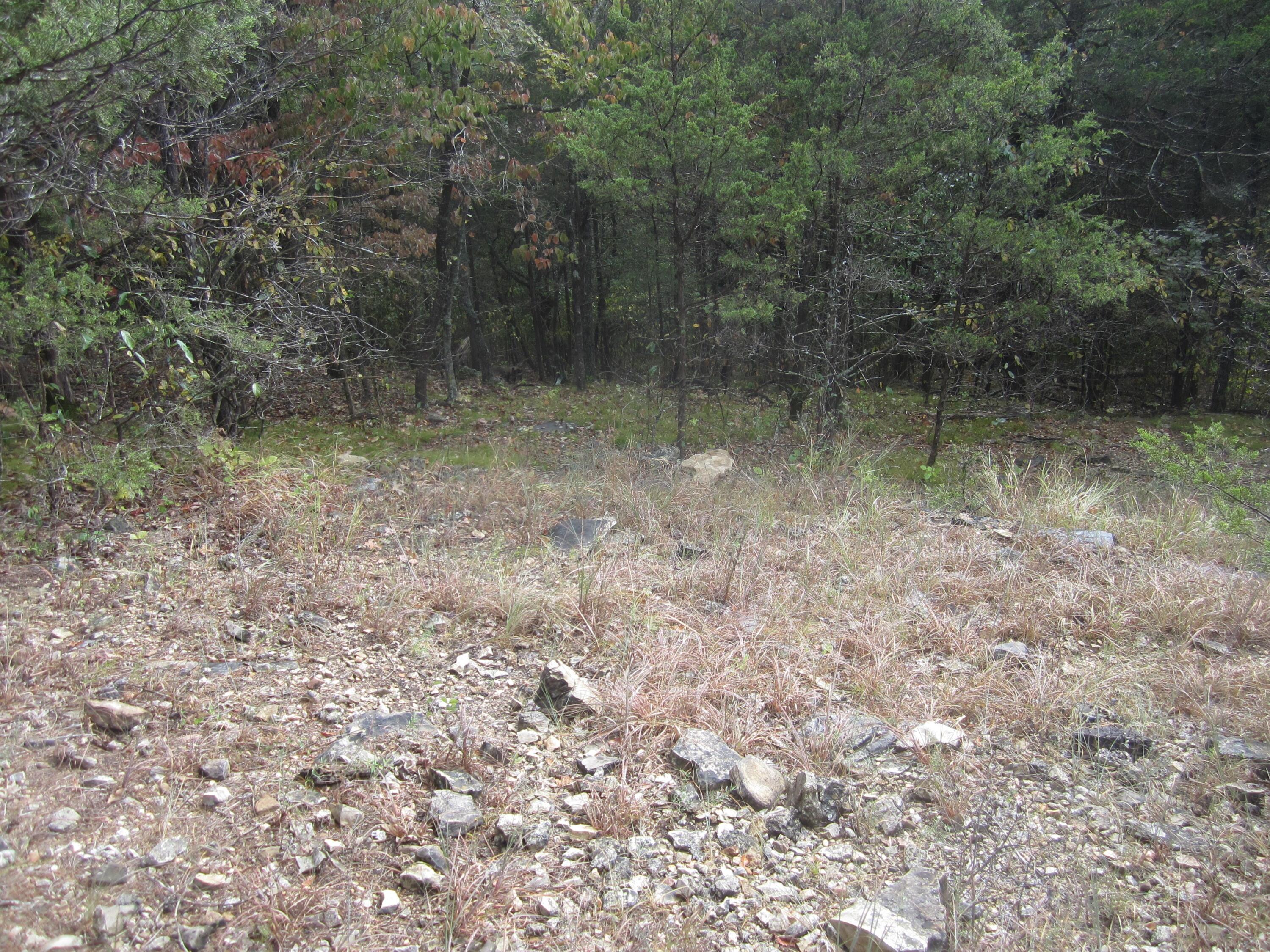 000 Map Lane Property Photo 20