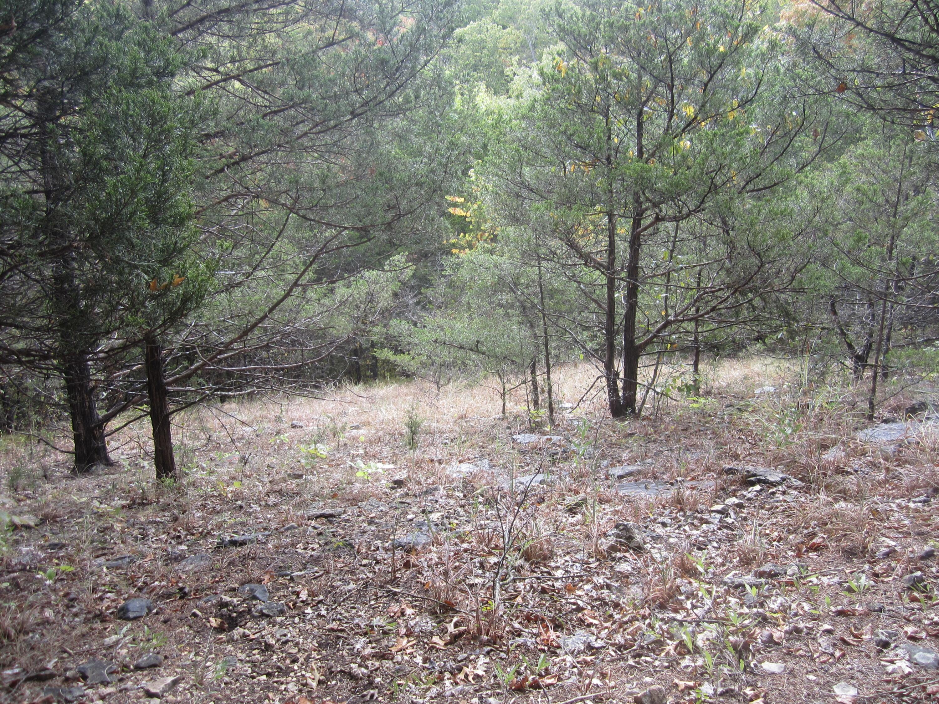 000 Map Lane Property Photo 21