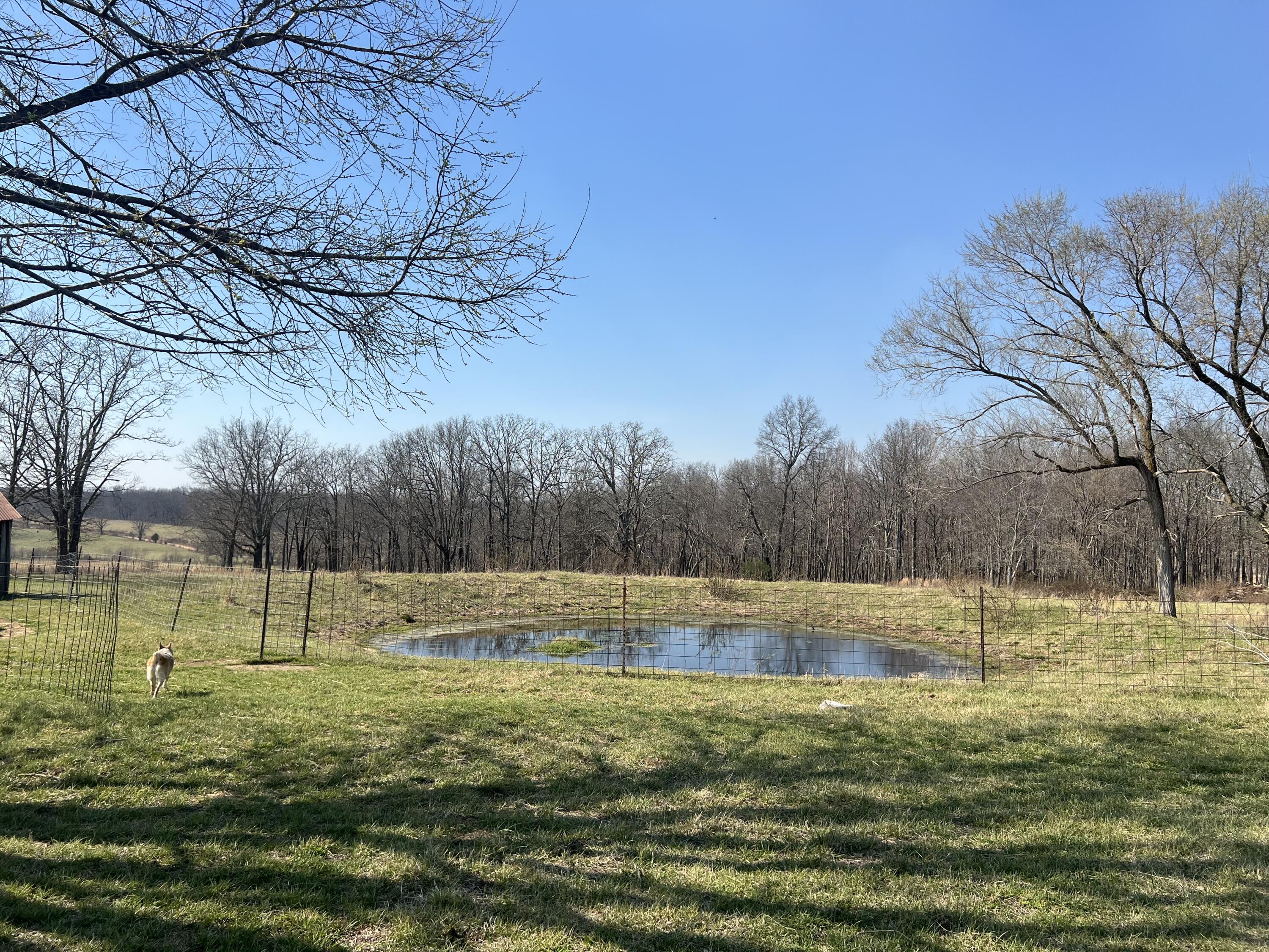 22177 Midvale Road Property Photo 69
