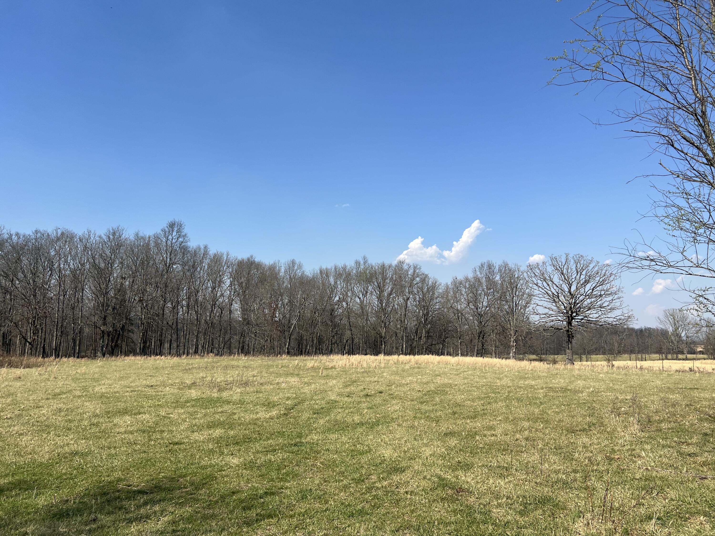 22177 Midvale Road Property Photo 86