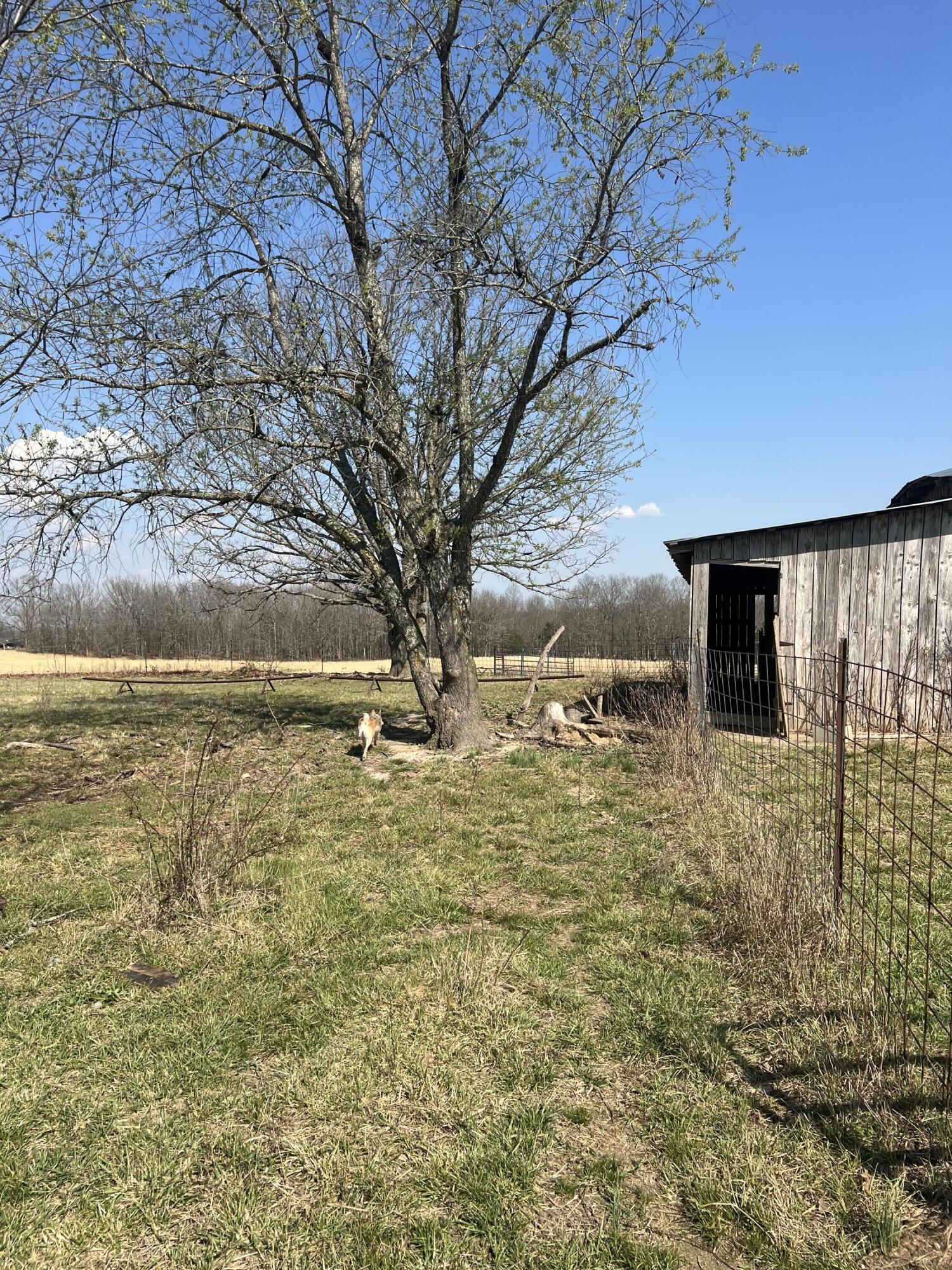 22177 Midvale Road Property Photo 93