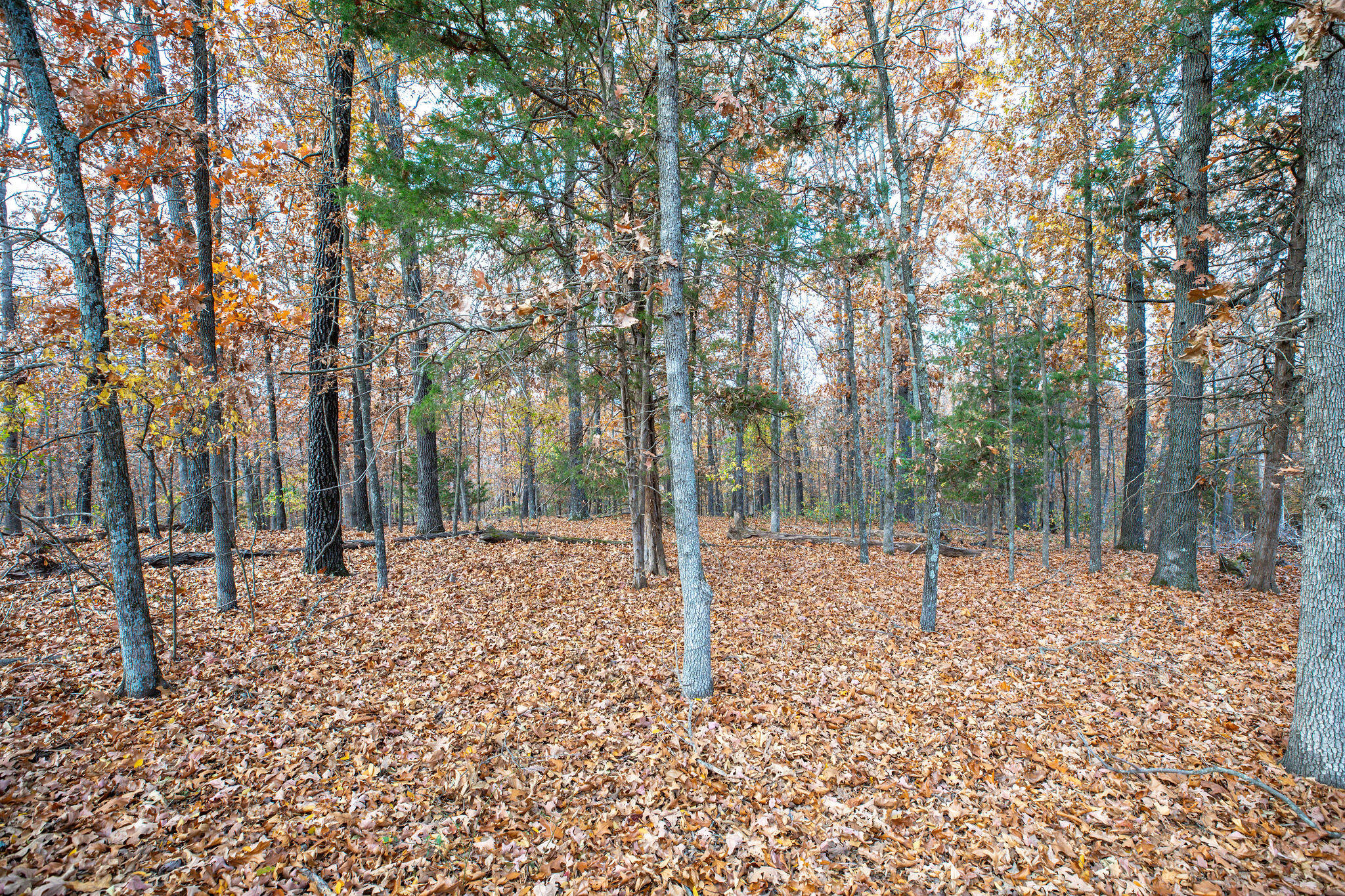 Lot 4 Whispering Hill Drive Property Photo 12