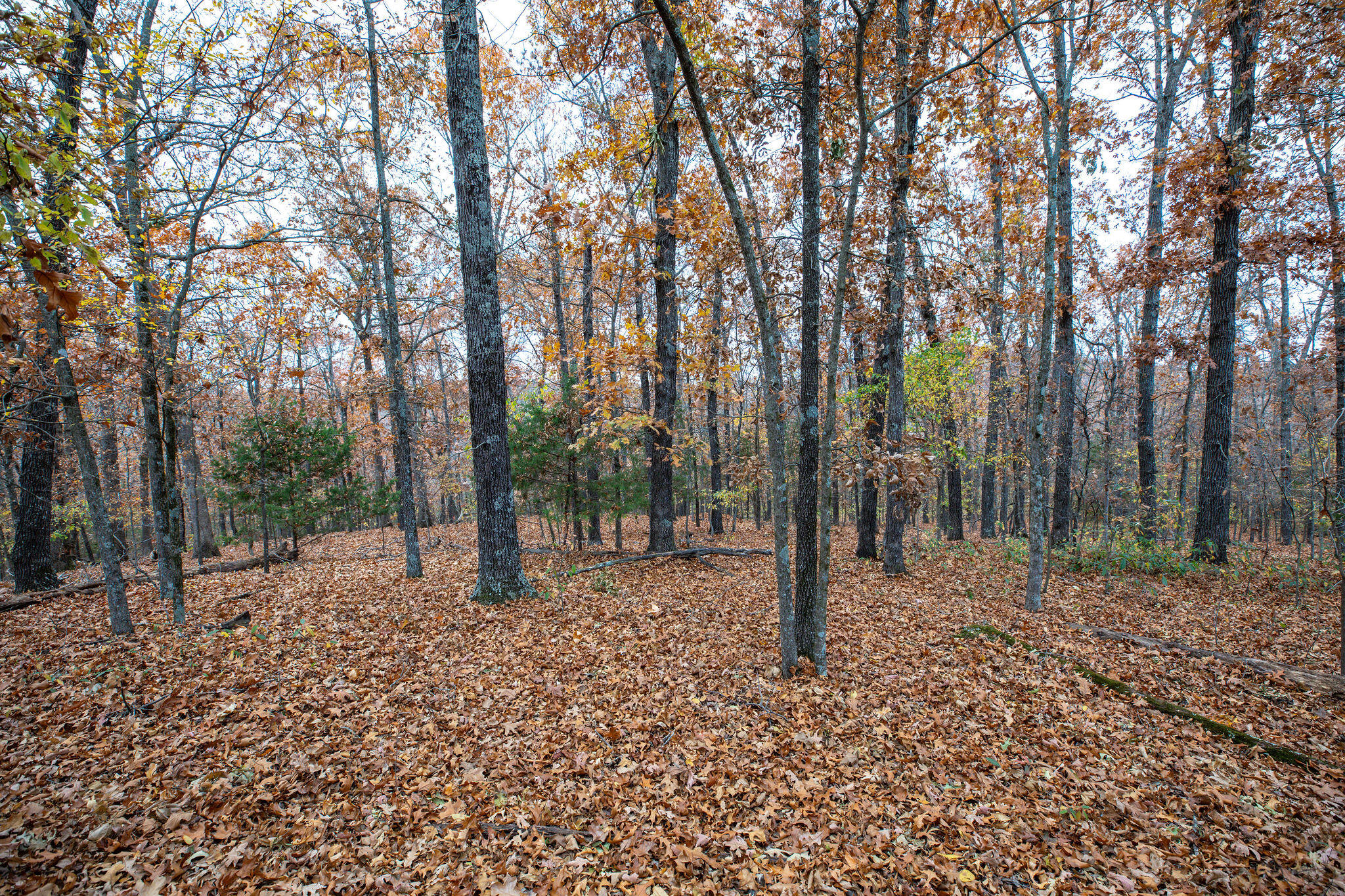 Lot 4 Whispering Hill Drive Property Photo 13