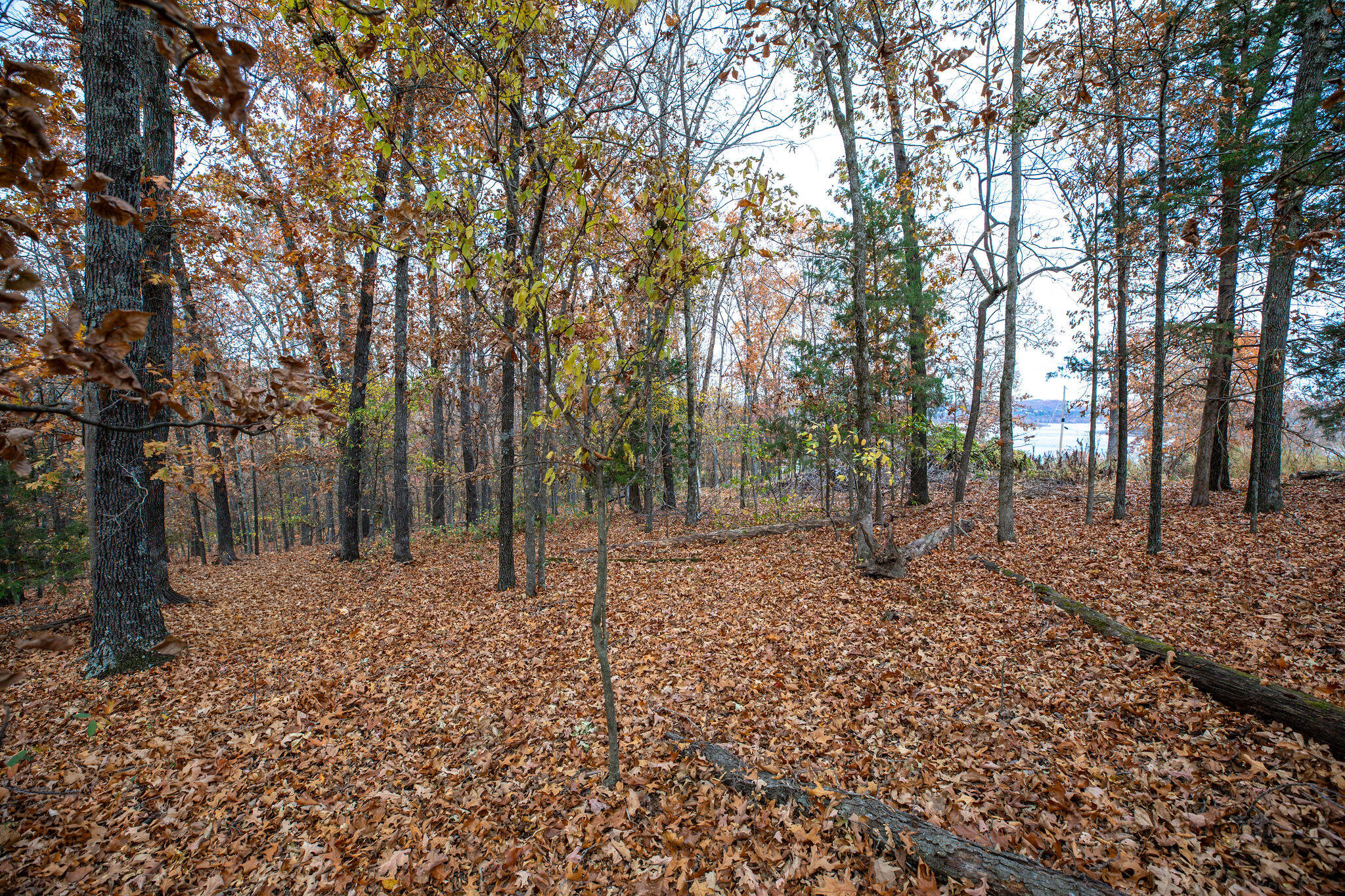 Lot 4 Whispering Hill Drive Property Photo 9