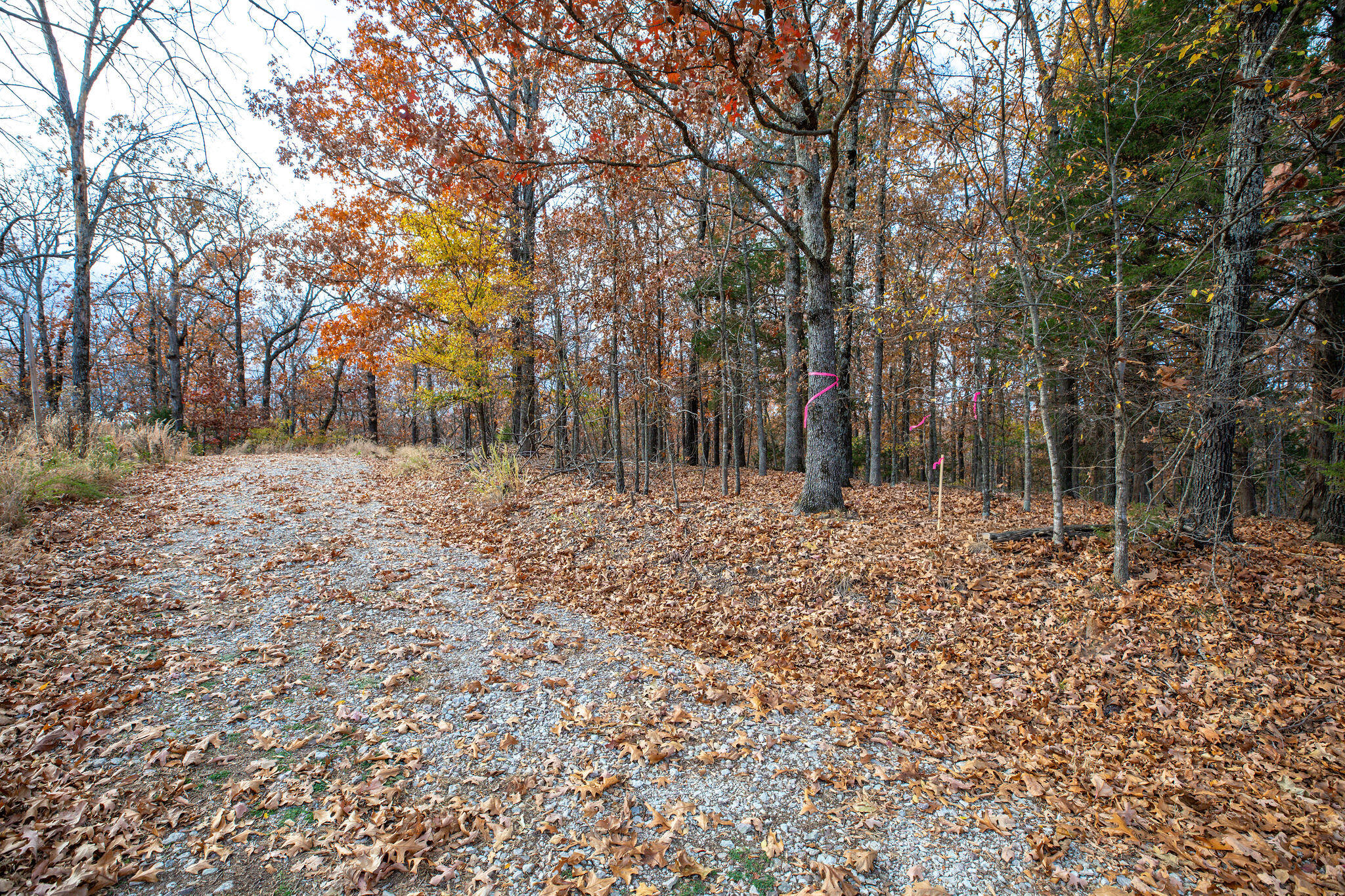 Lot 4 Whispering Hill Drive Property Photo 10