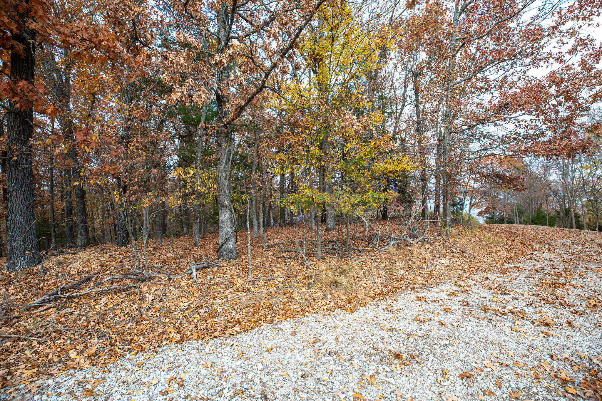 Lot 4 Whispering Hill Drive Property Photo 11