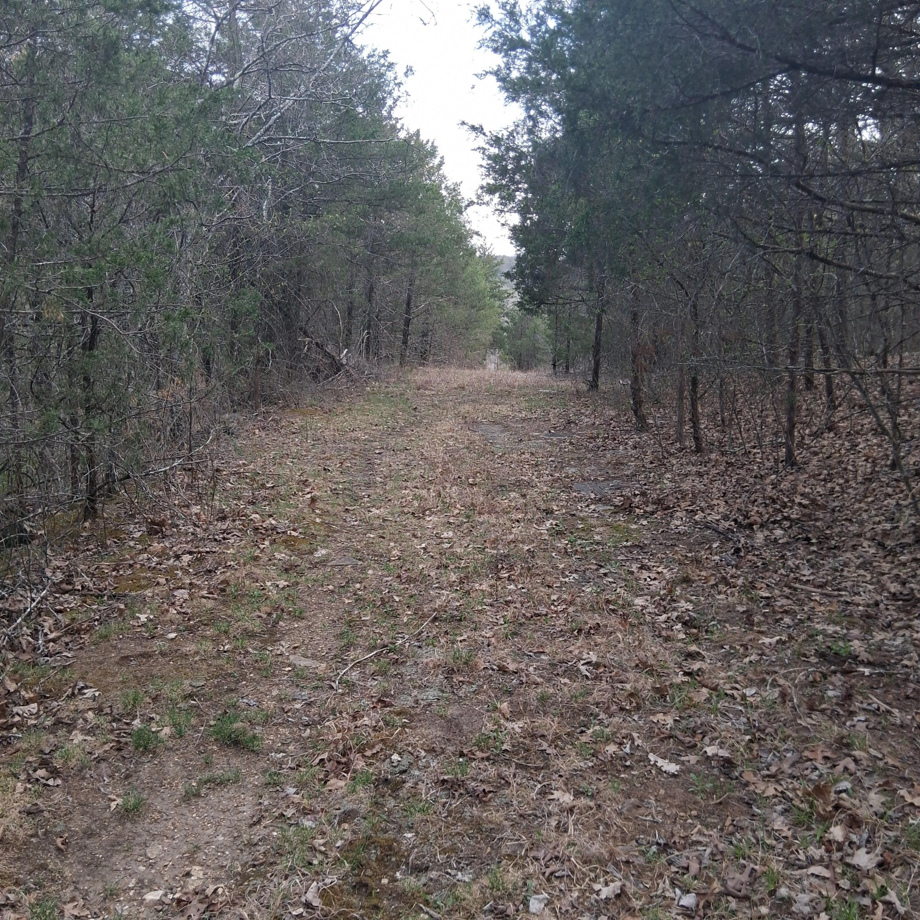 Tbd Lot 31 Property Photo 6