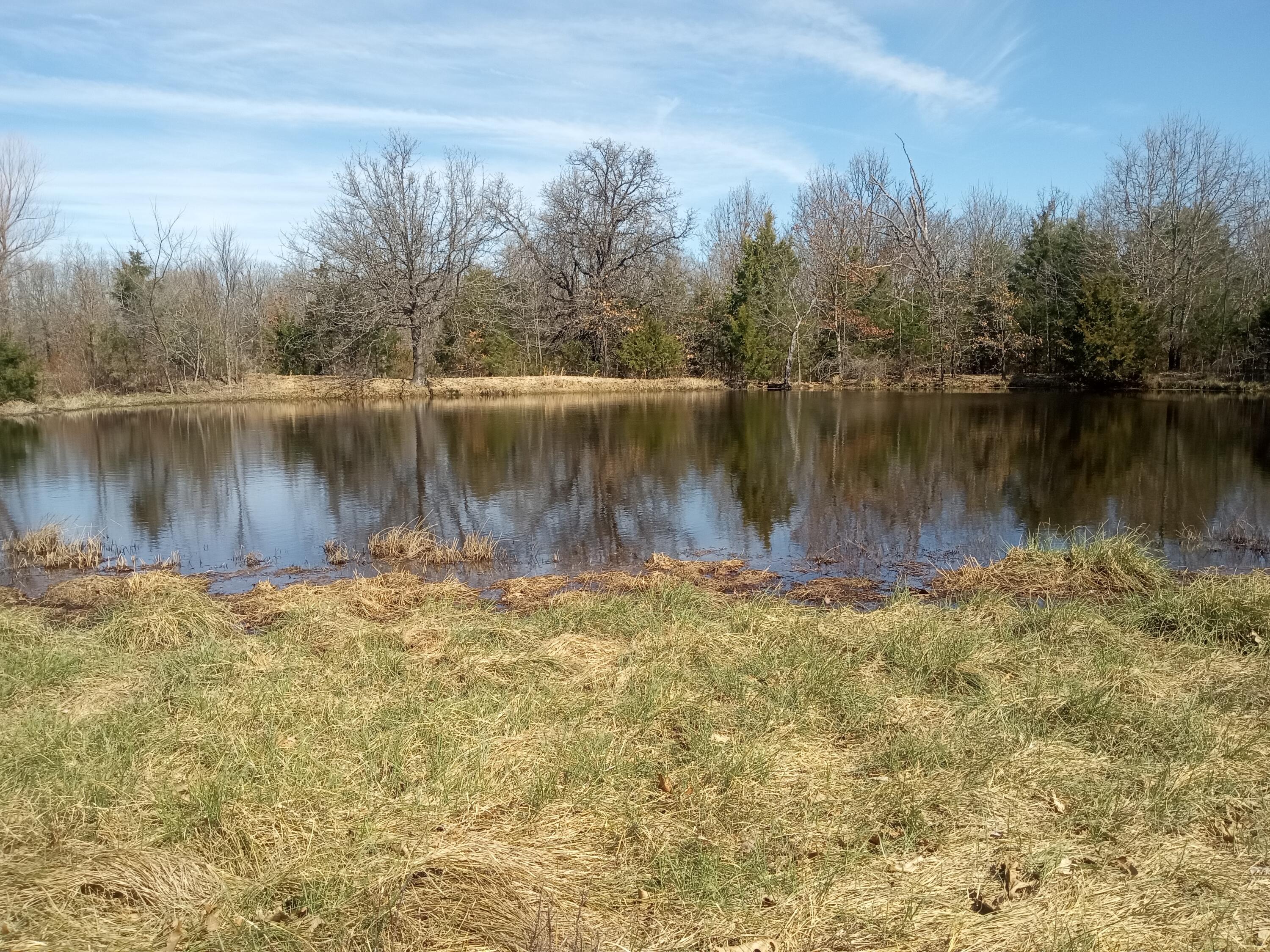 97 Three Springs Property Photo 13