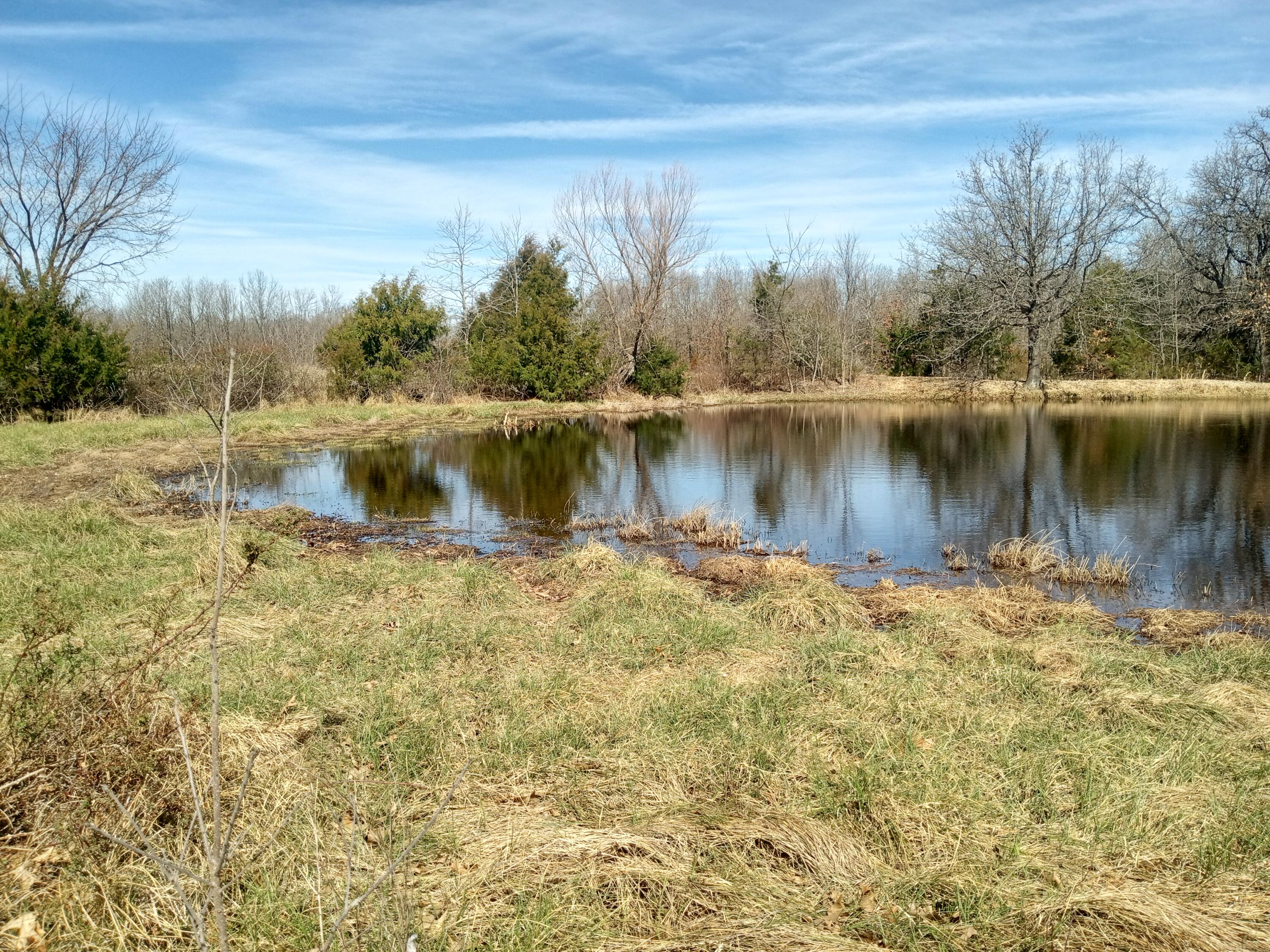97 Three Springs Property Photo 14