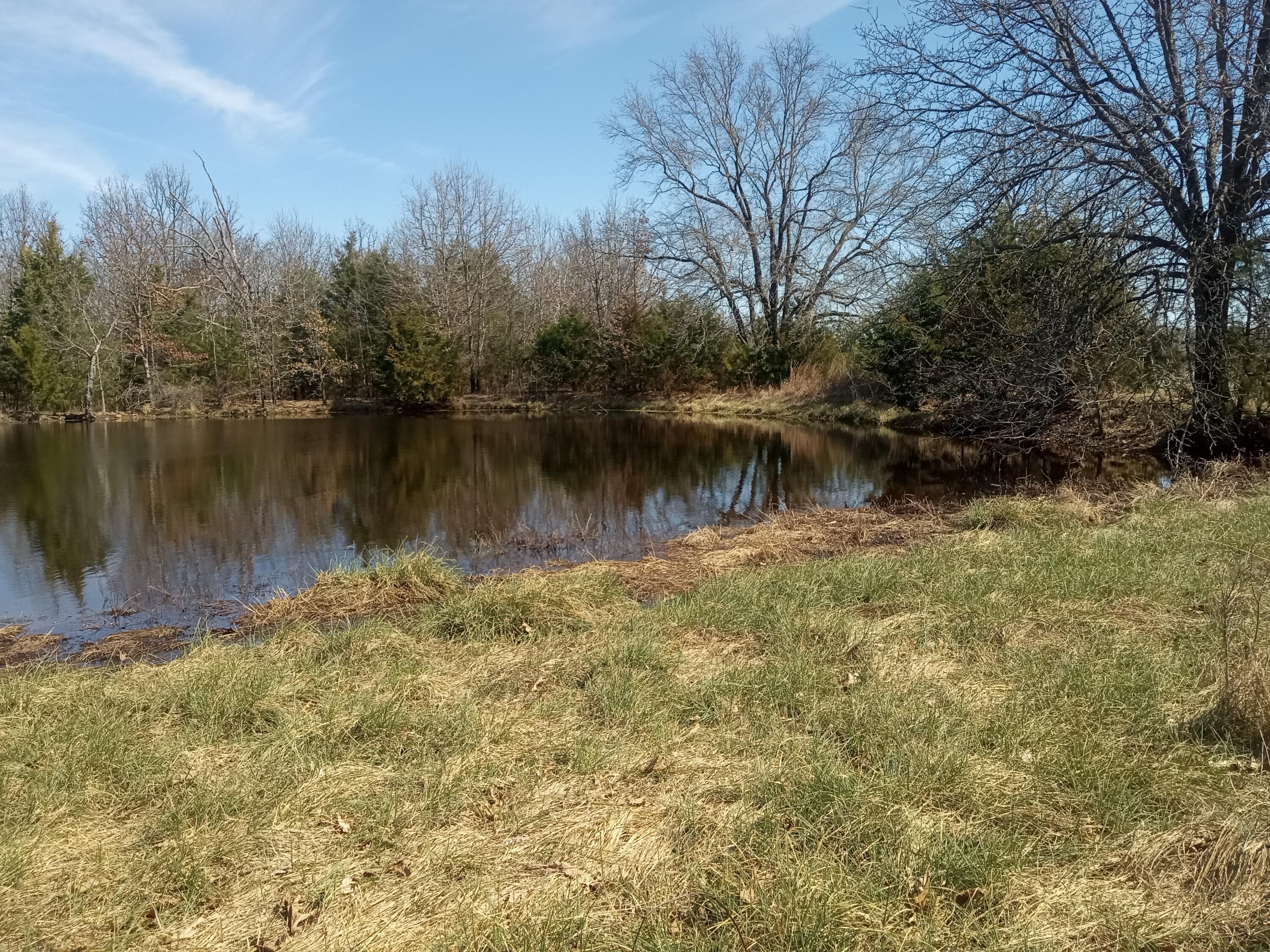 97 Three Springs Property Photo 15