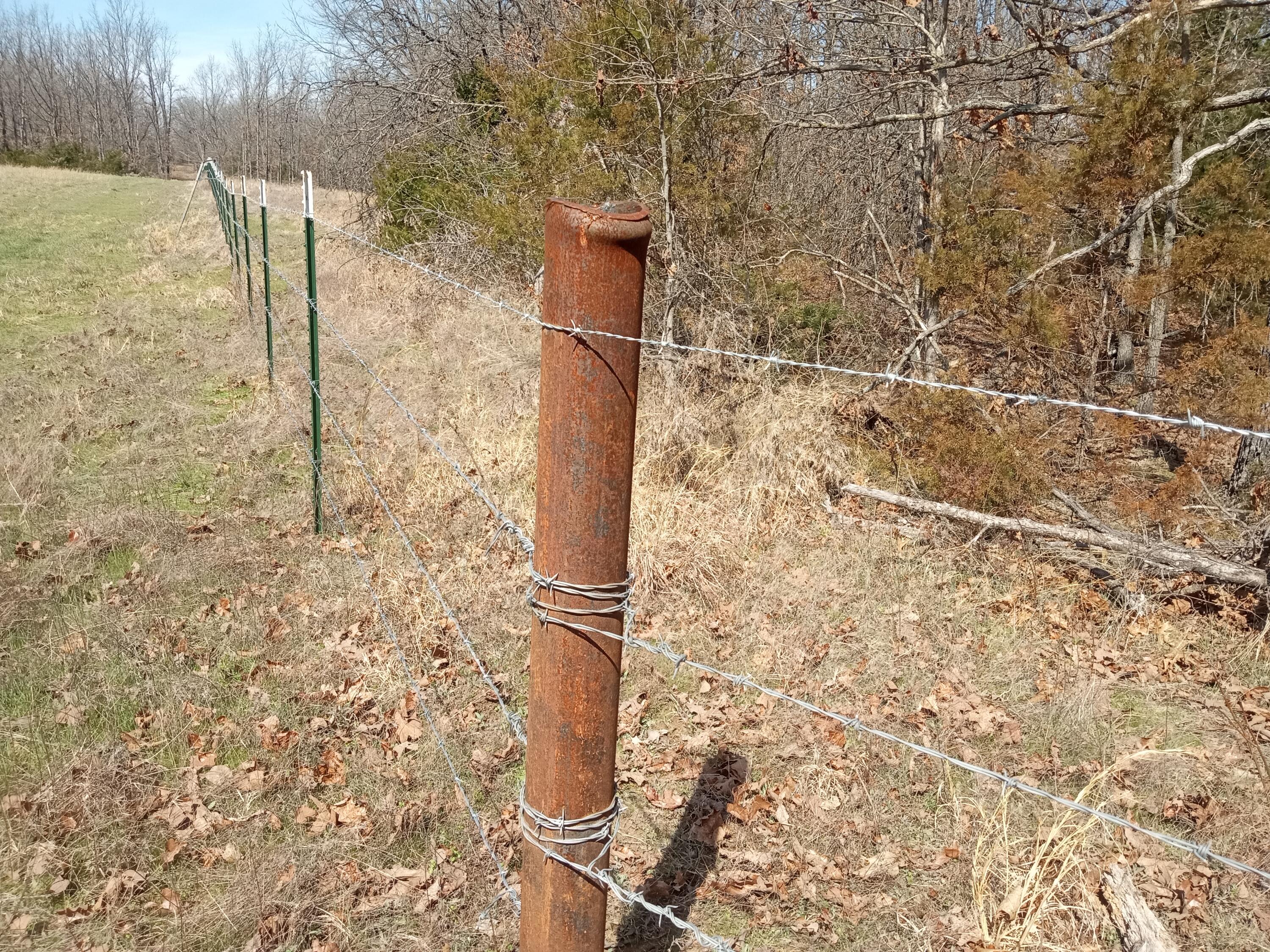 97 Three Springs Property Photo 16