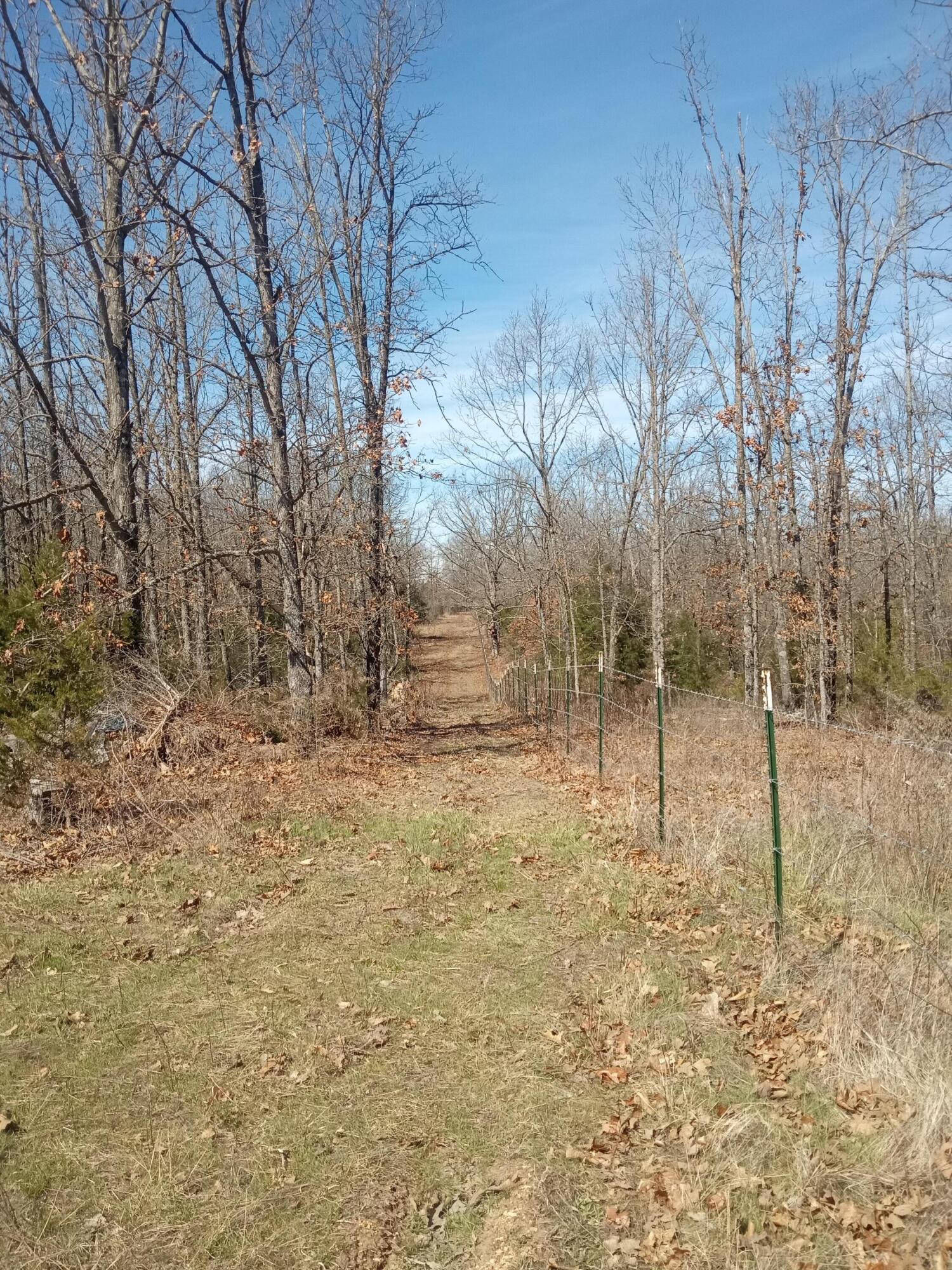 97 Three Springs Property Photo 17
