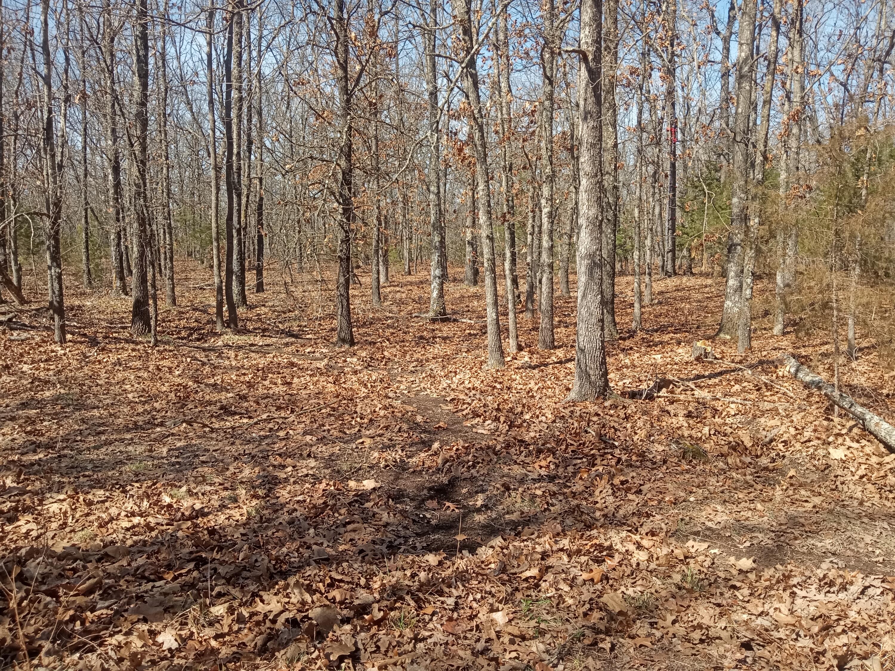 97 Three Springs Property Photo 18