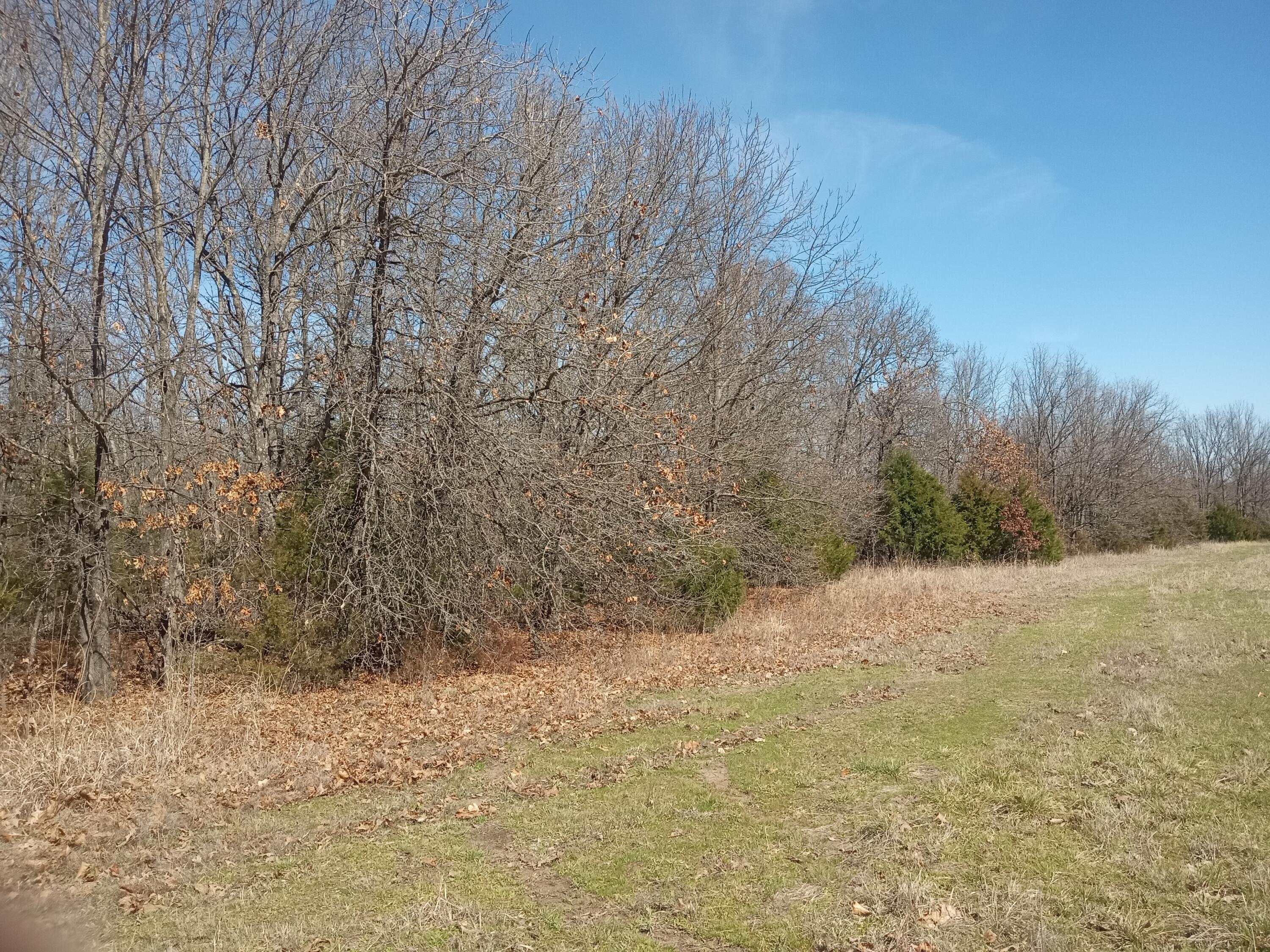 97 Three Springs Property Photo 19