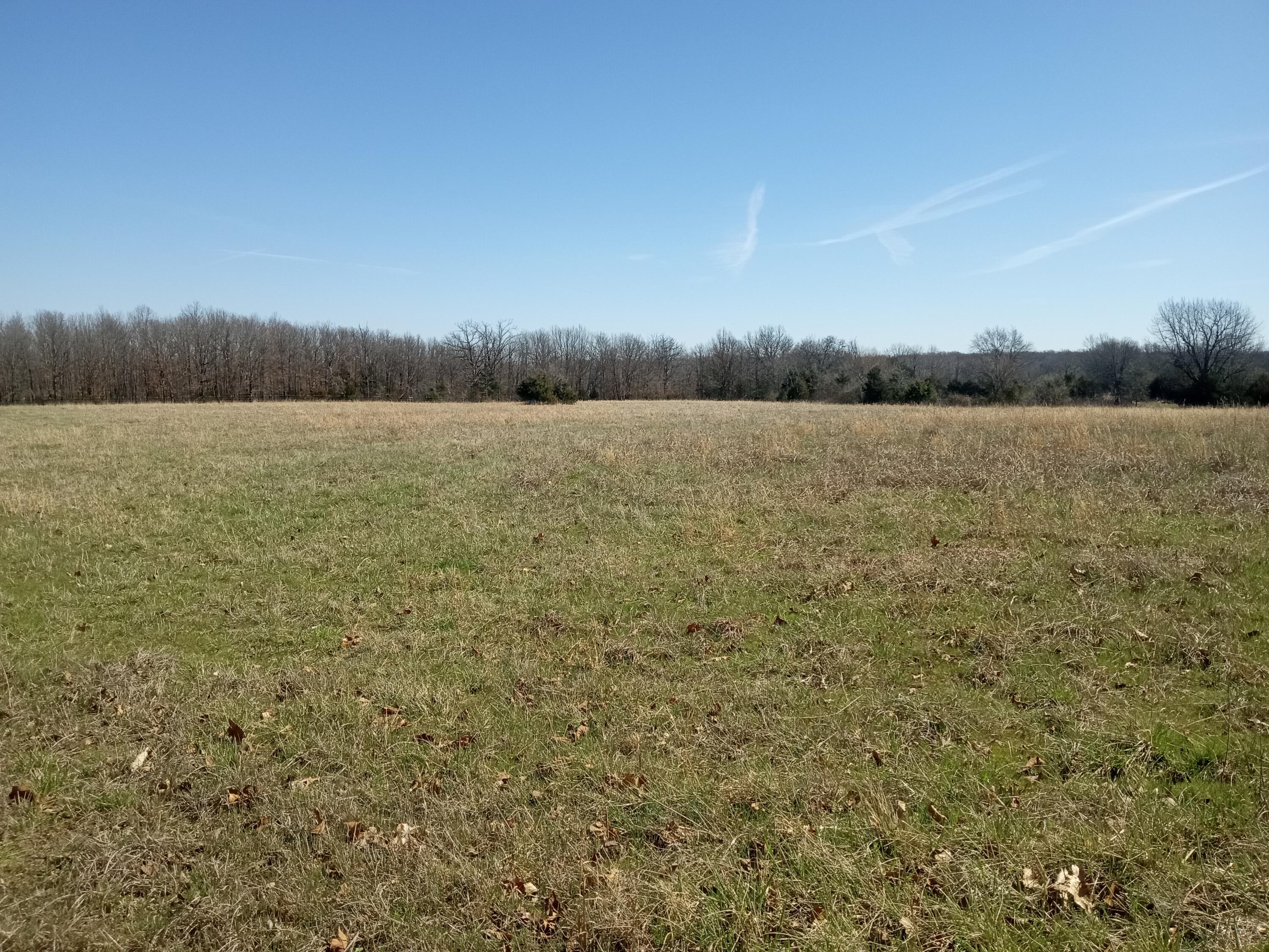 97 Three Springs Property Photo 20