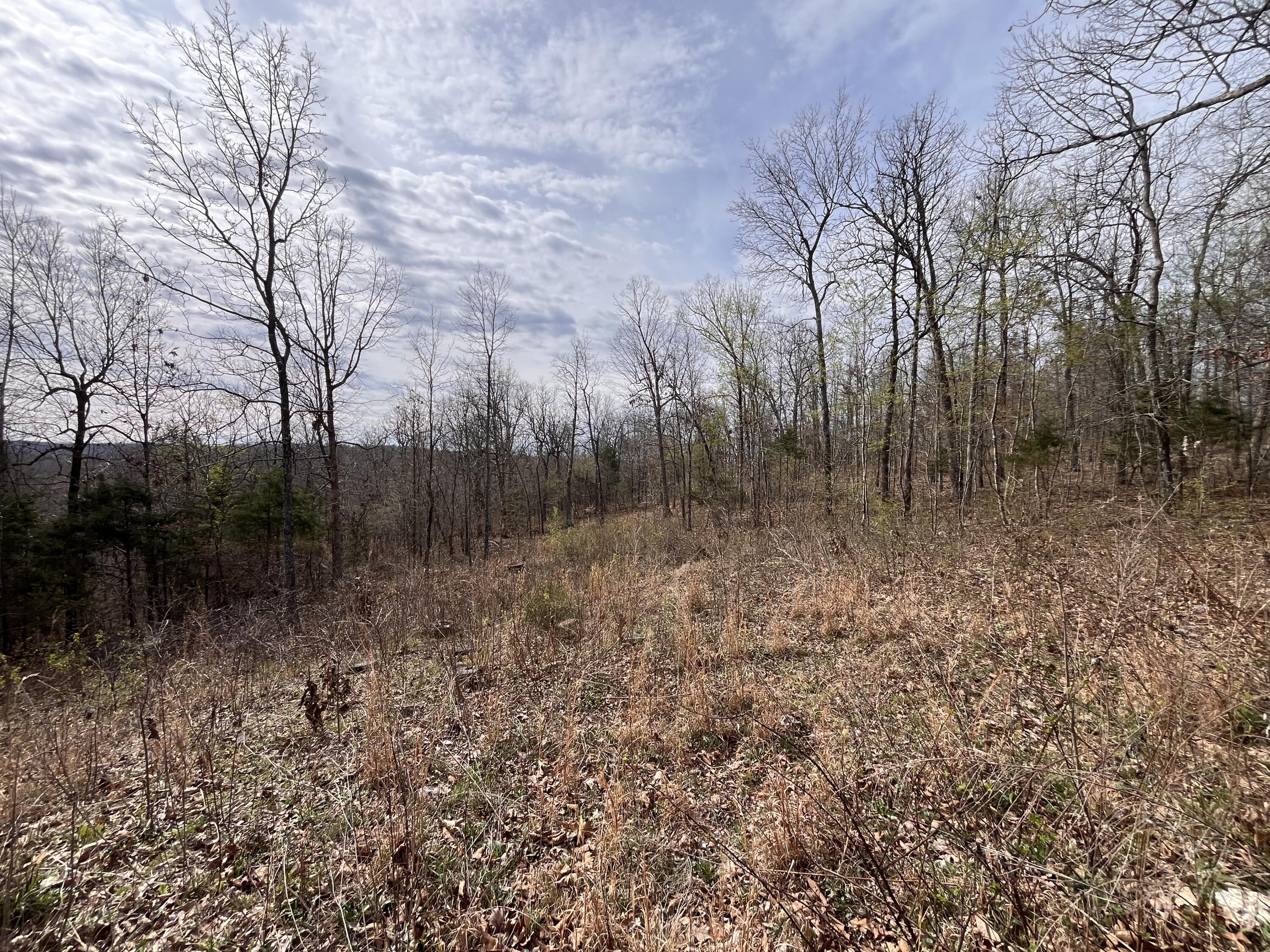 1170 County Road 255 Property Photo 45