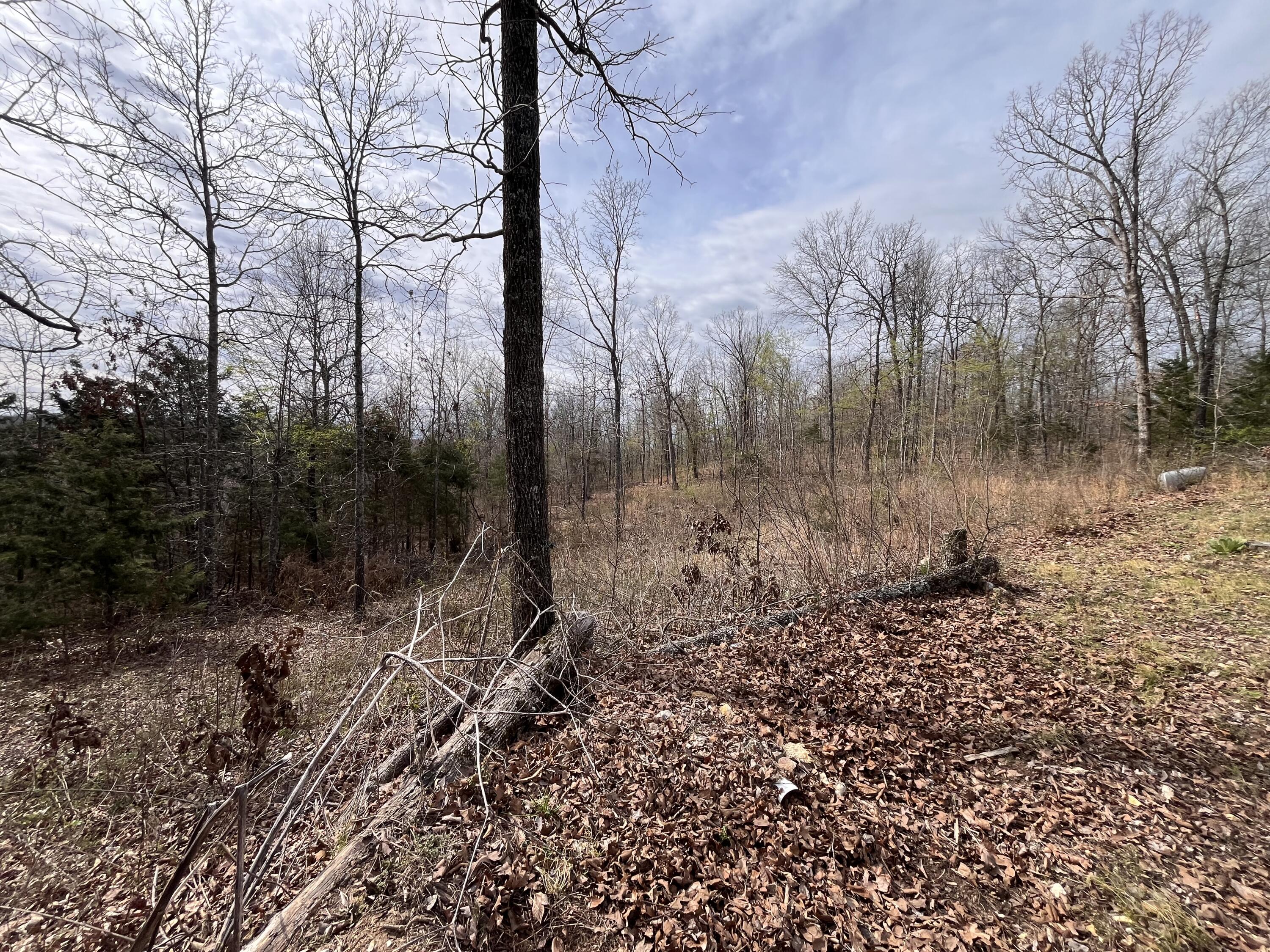 1170 County Road 255 Property Photo 47