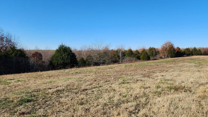 Tbd Highway 63 Property Photo 2