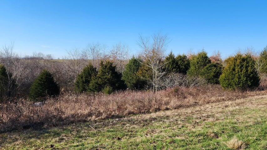Tbd Highway 63 Property Photo 3
