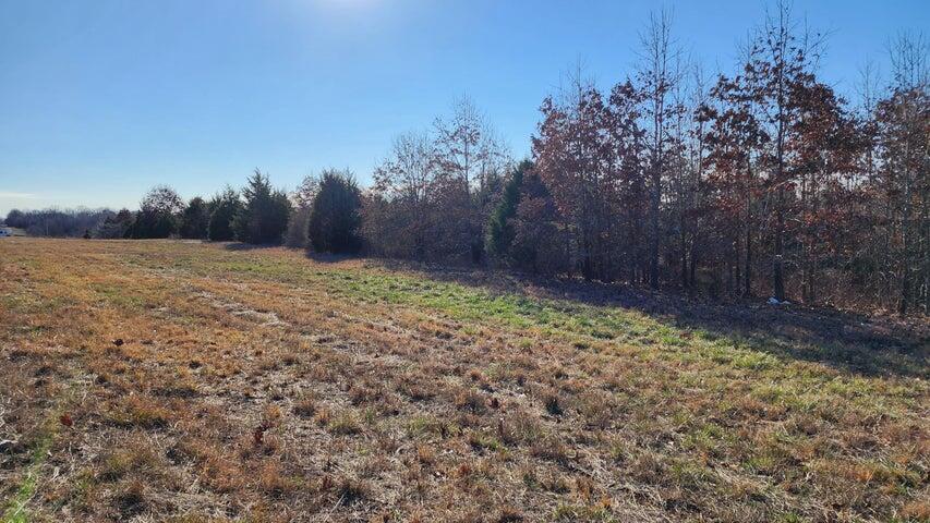 Tbd Highway 63 Property Photo 4