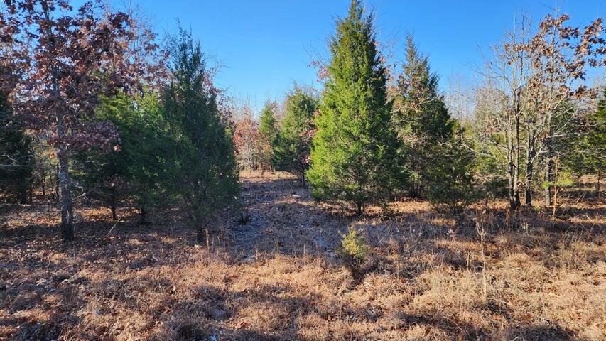Tbd Highway 63 Property Photo 5