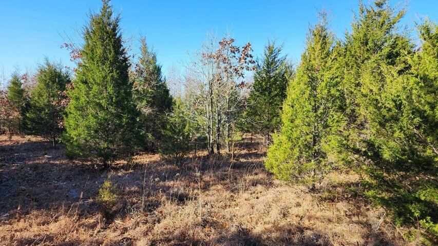 Tbd Highway 63 Property Photo 6
