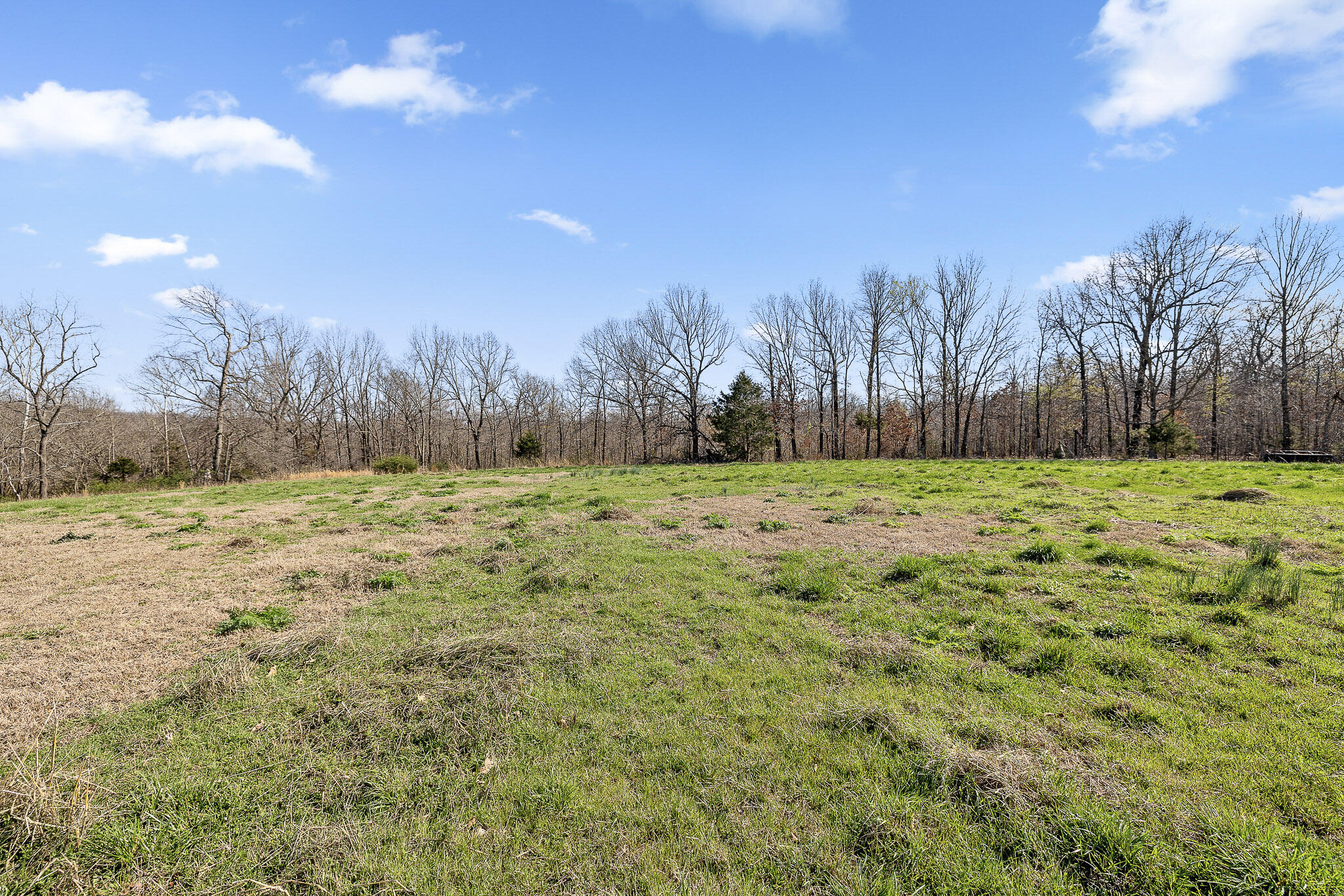 2259 Racetrack Hollow Road Property Photo 60
