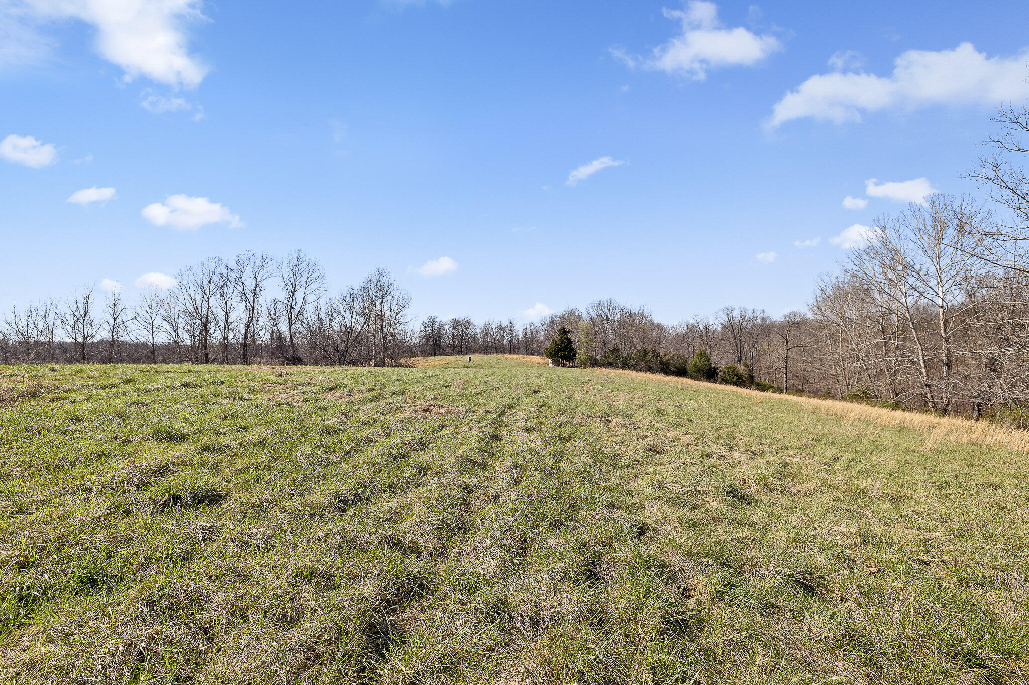 2259 Racetrack Hollow Road Property Photo 63