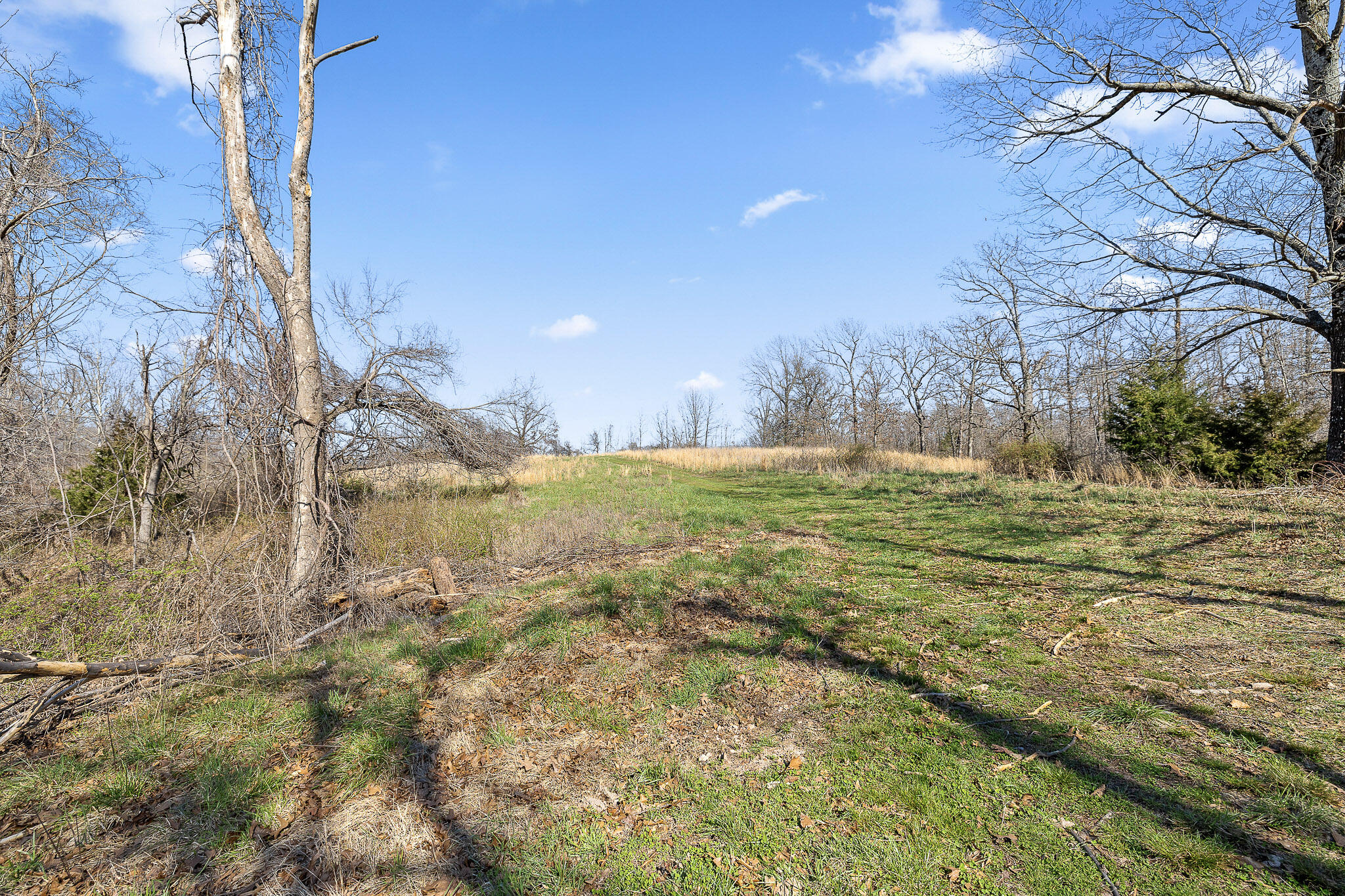2259 Racetrack Hollow Road Property Photo 71