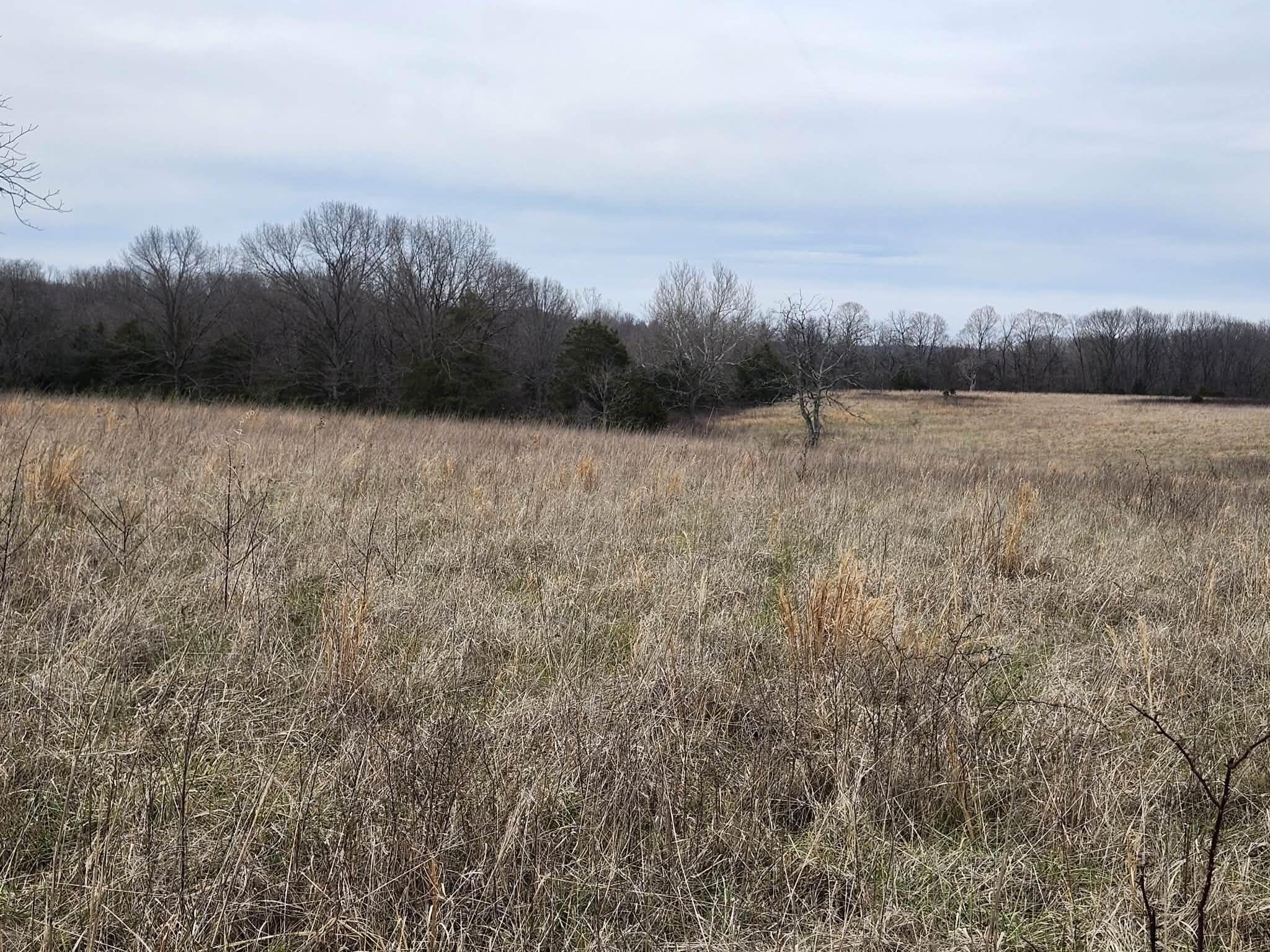 000 North Highway E Property Photo 17