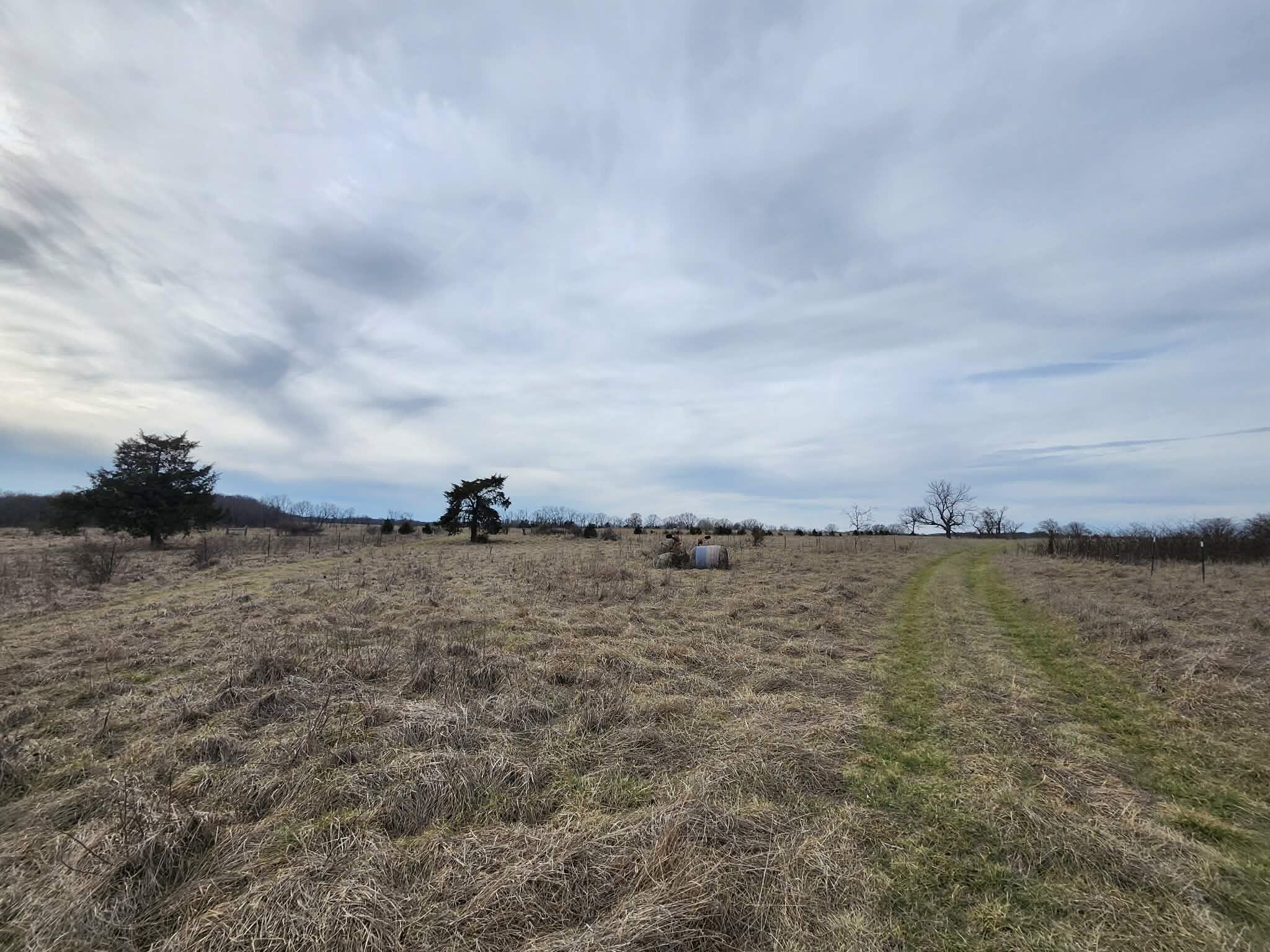 000 North Highway E Property Photo 24