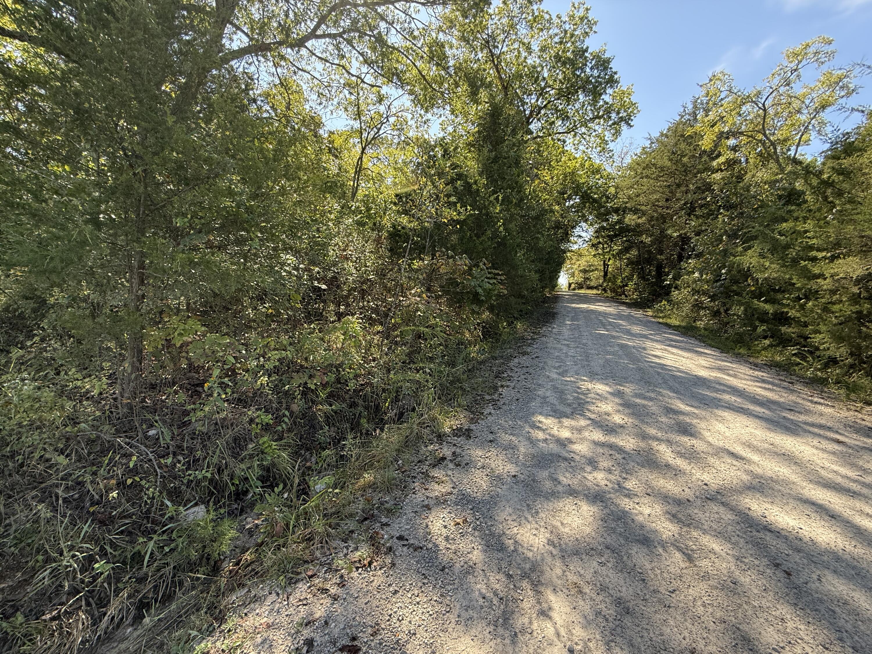 Lot 1 Daisy Lane Property Photo 1
