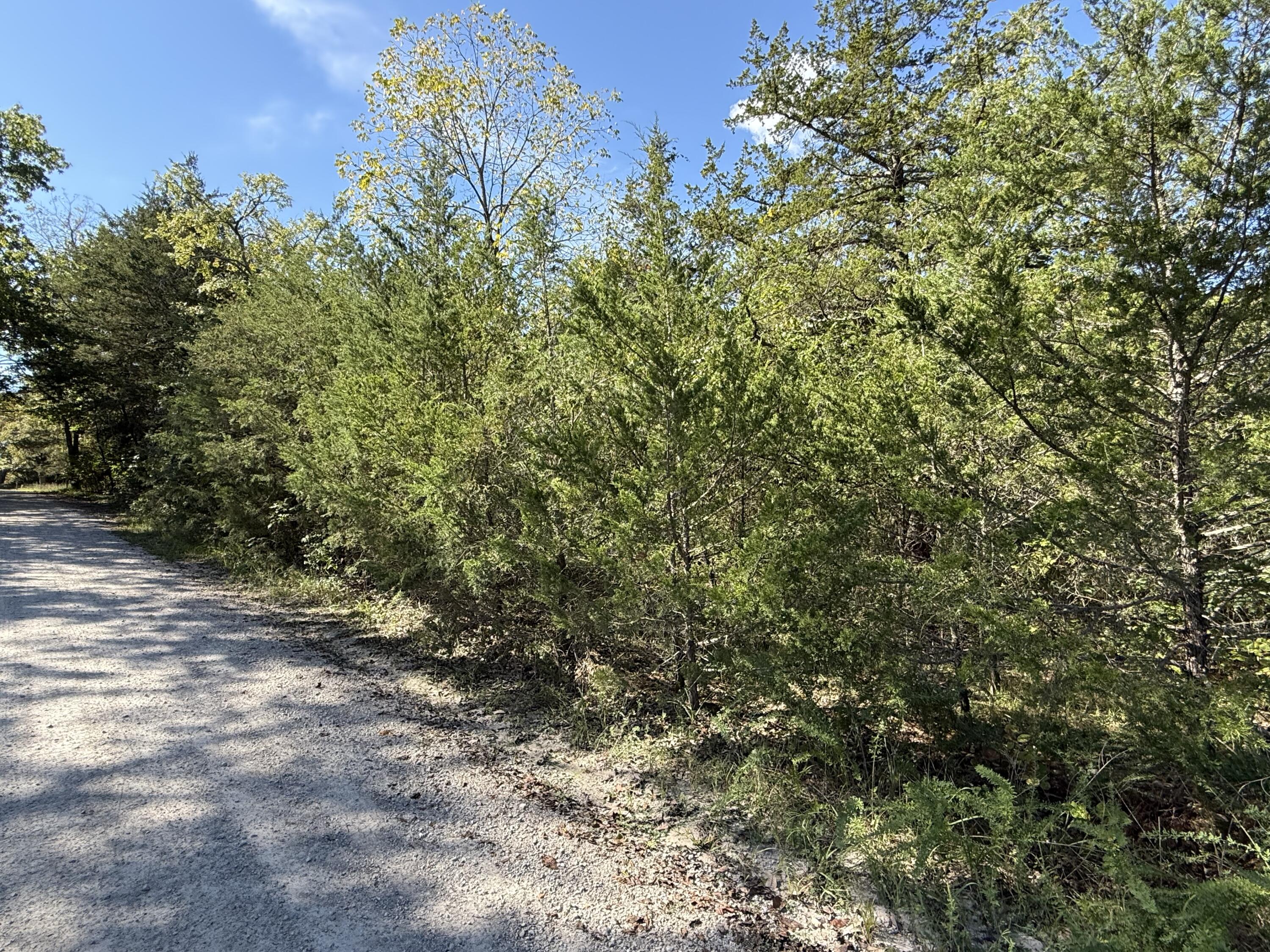 Lot 23 Daisy Lane Property Photo 1
