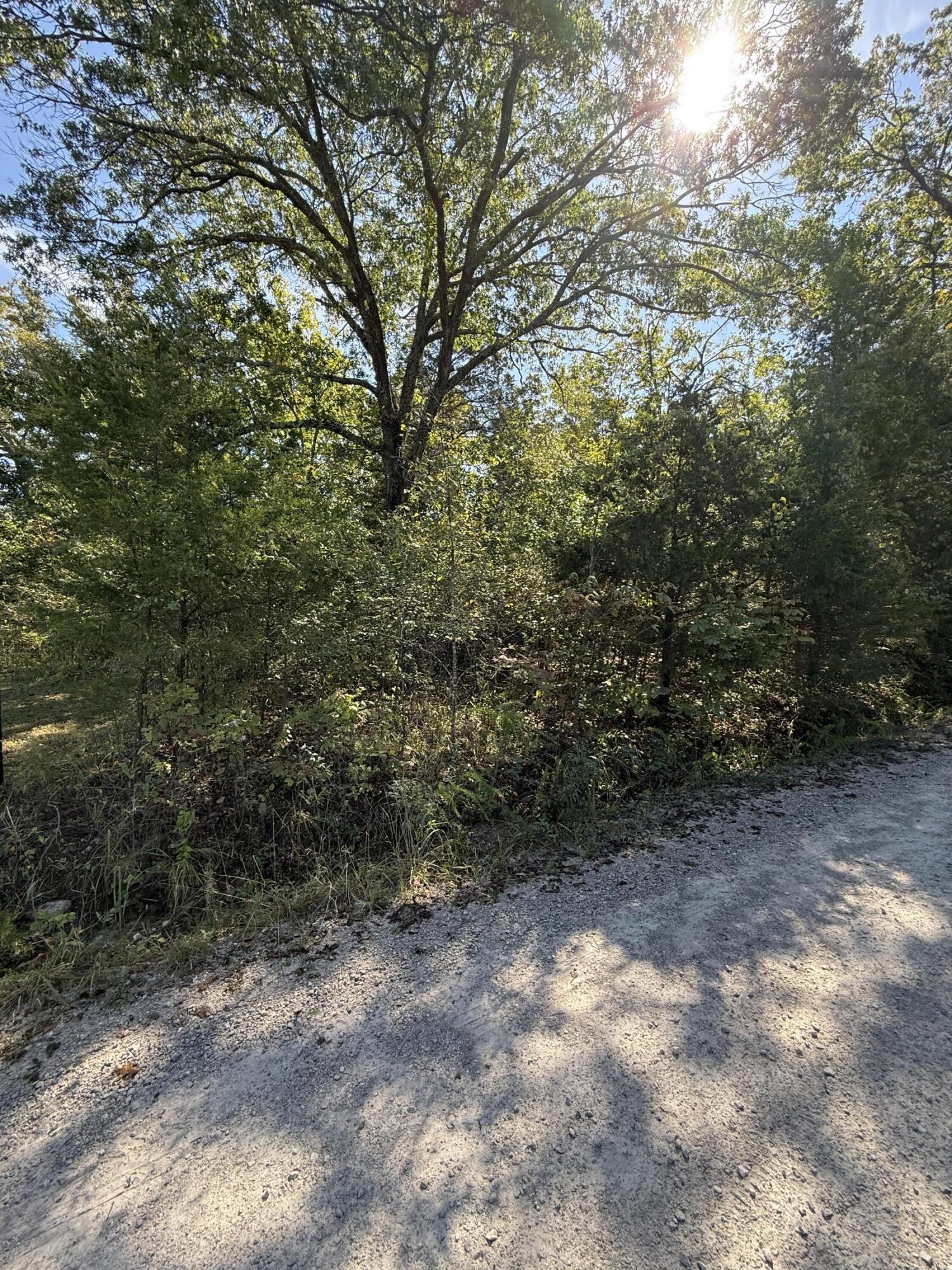 Lot 23 Daisy Lane Property Photo 2