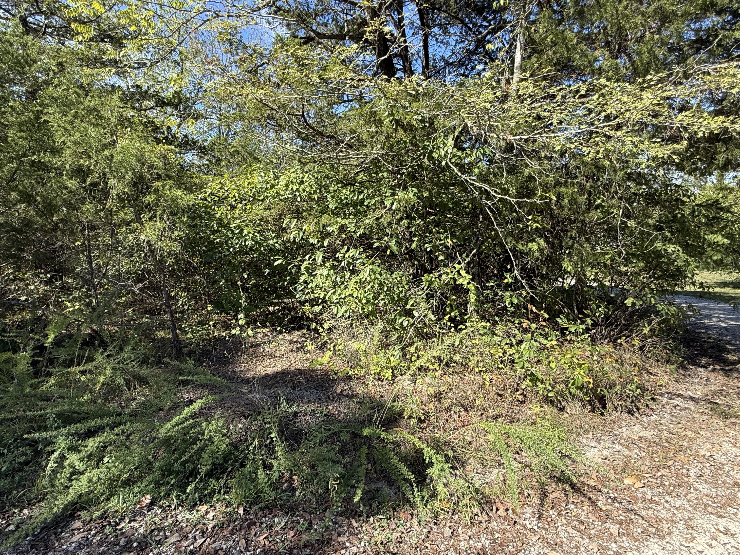 Lot 23 Daisy Lane Property Photo 3