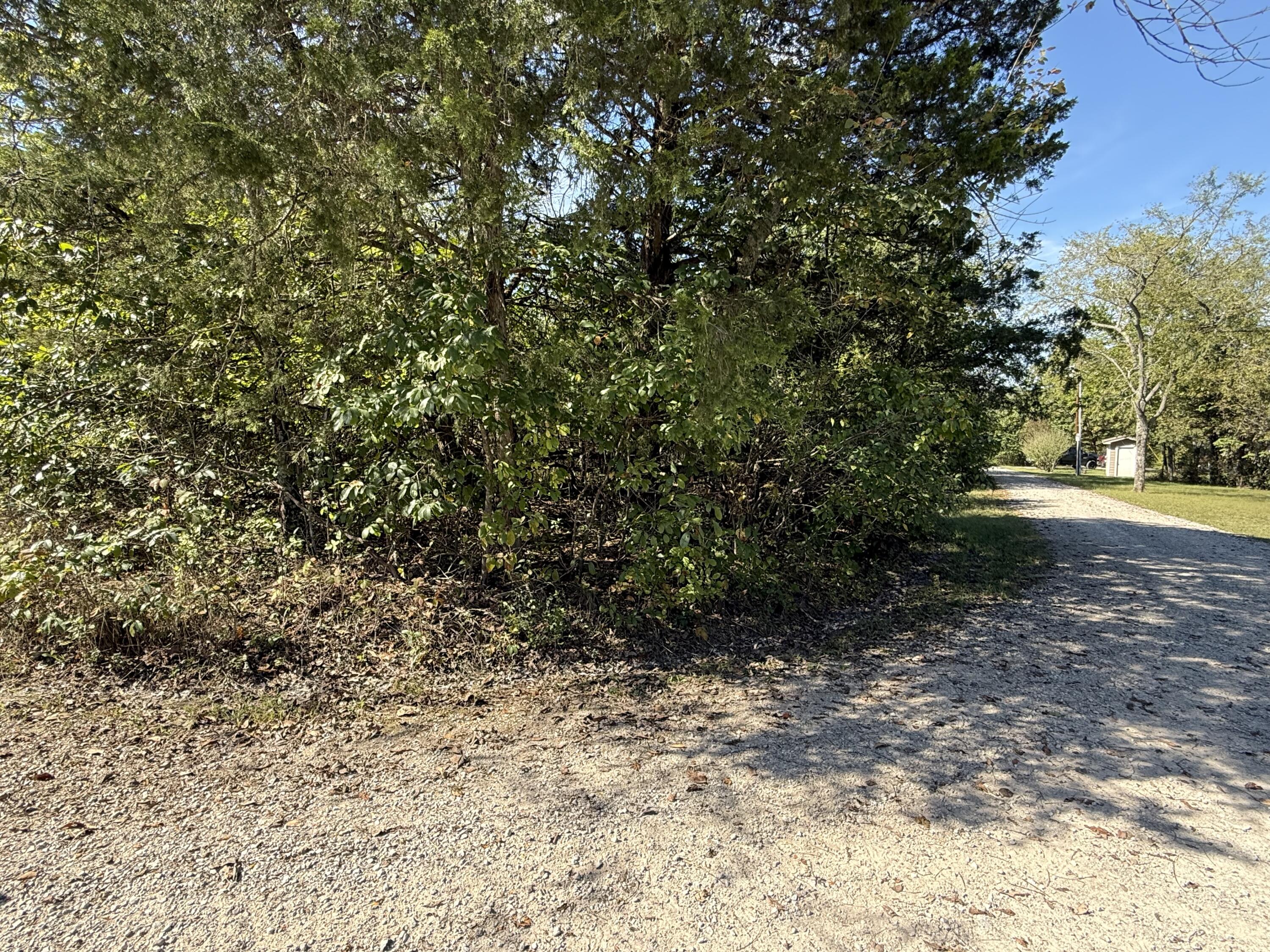 Lot 23 Daisy Lane Property Photo 4