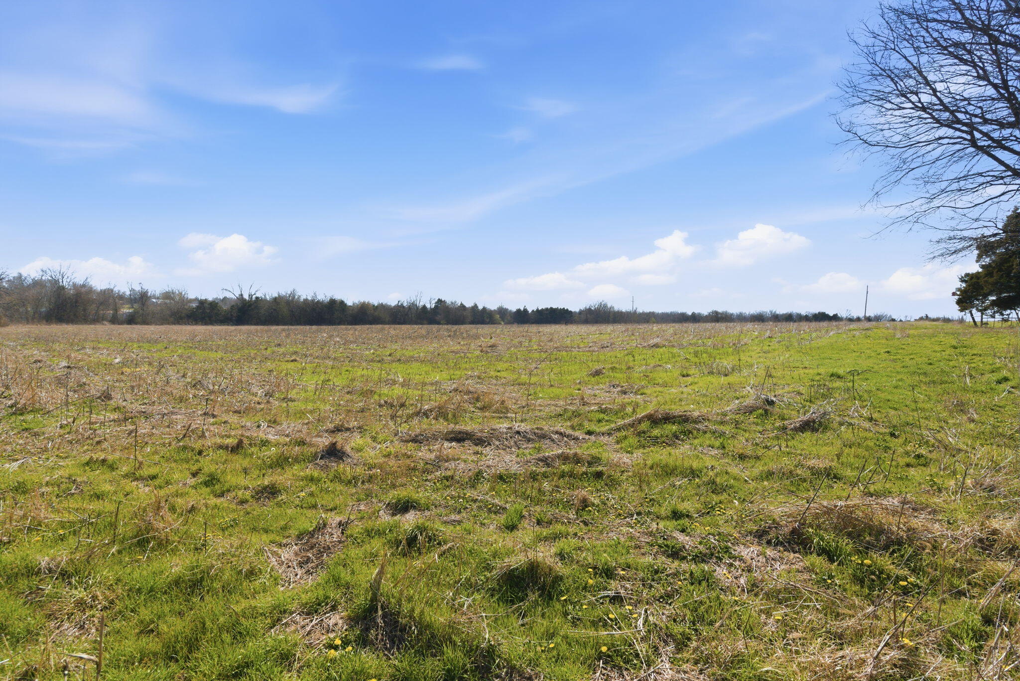 336 State Highway 32 Property Photo 40
