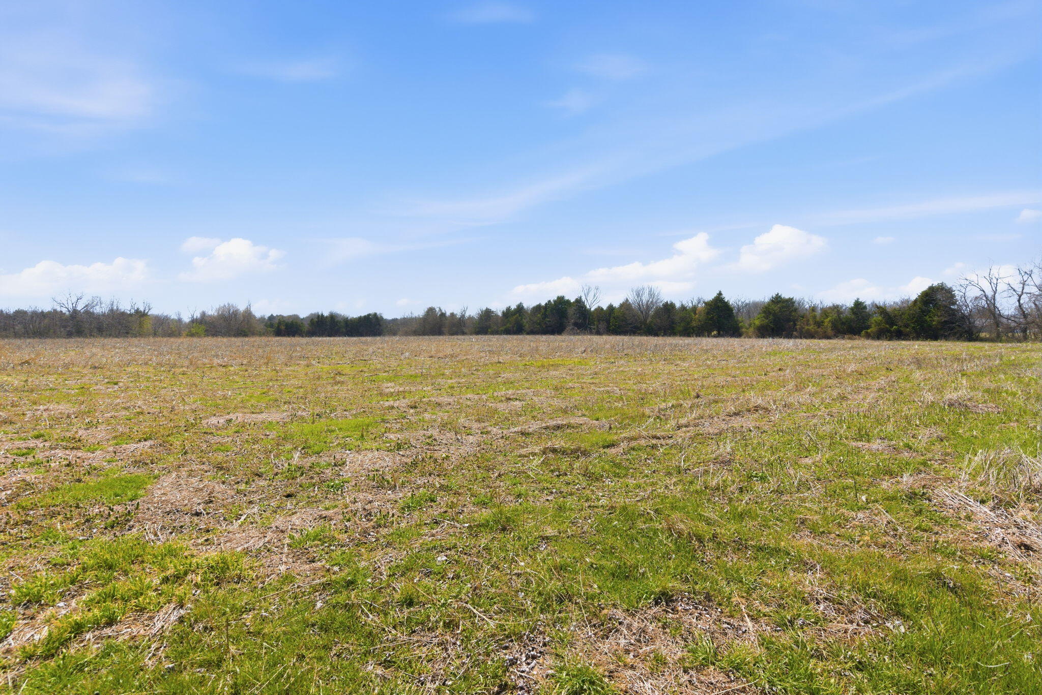 336 State Highway 32 Property Photo 41