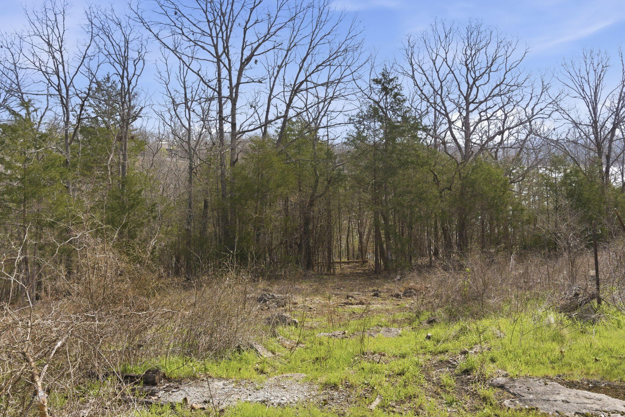 1670 Wooley Creek Road Property Photo 37