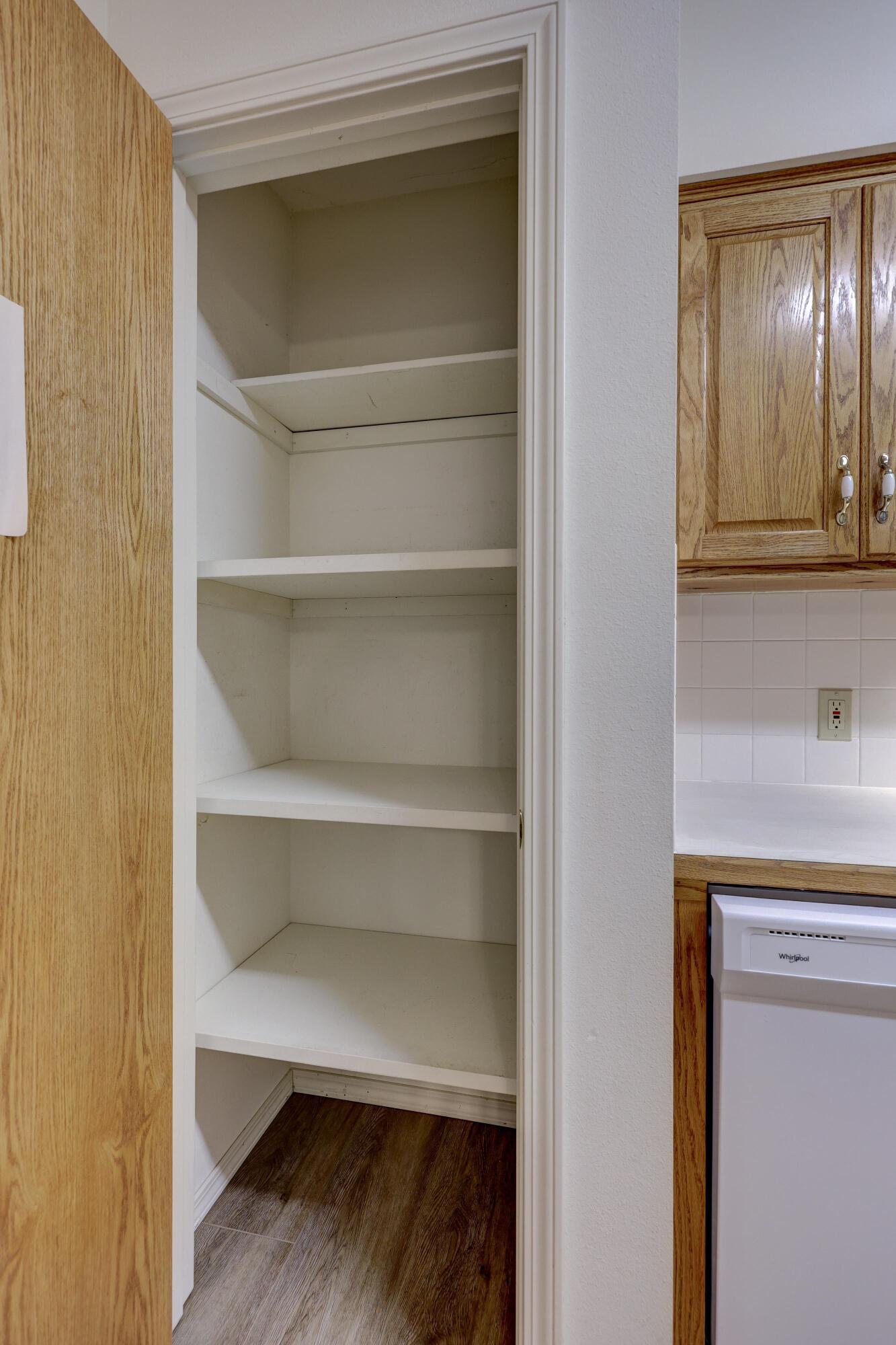 1411 Gold Stream Drive Property Photo 13