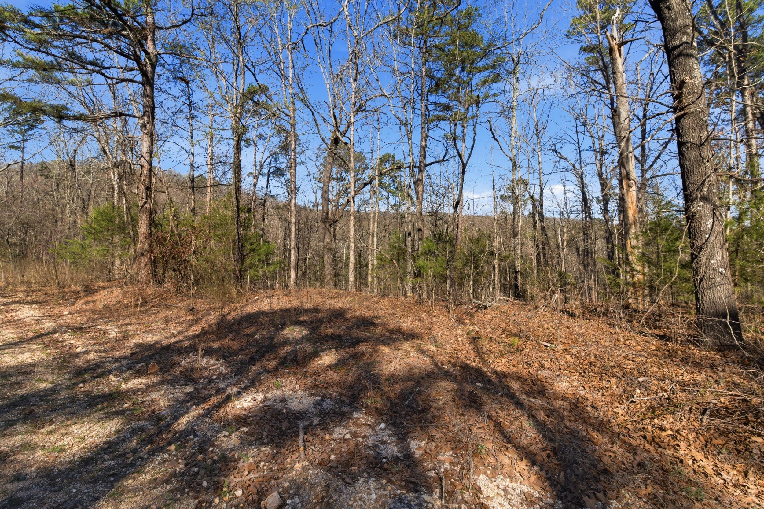 000 County Road 158 Property Photo 1