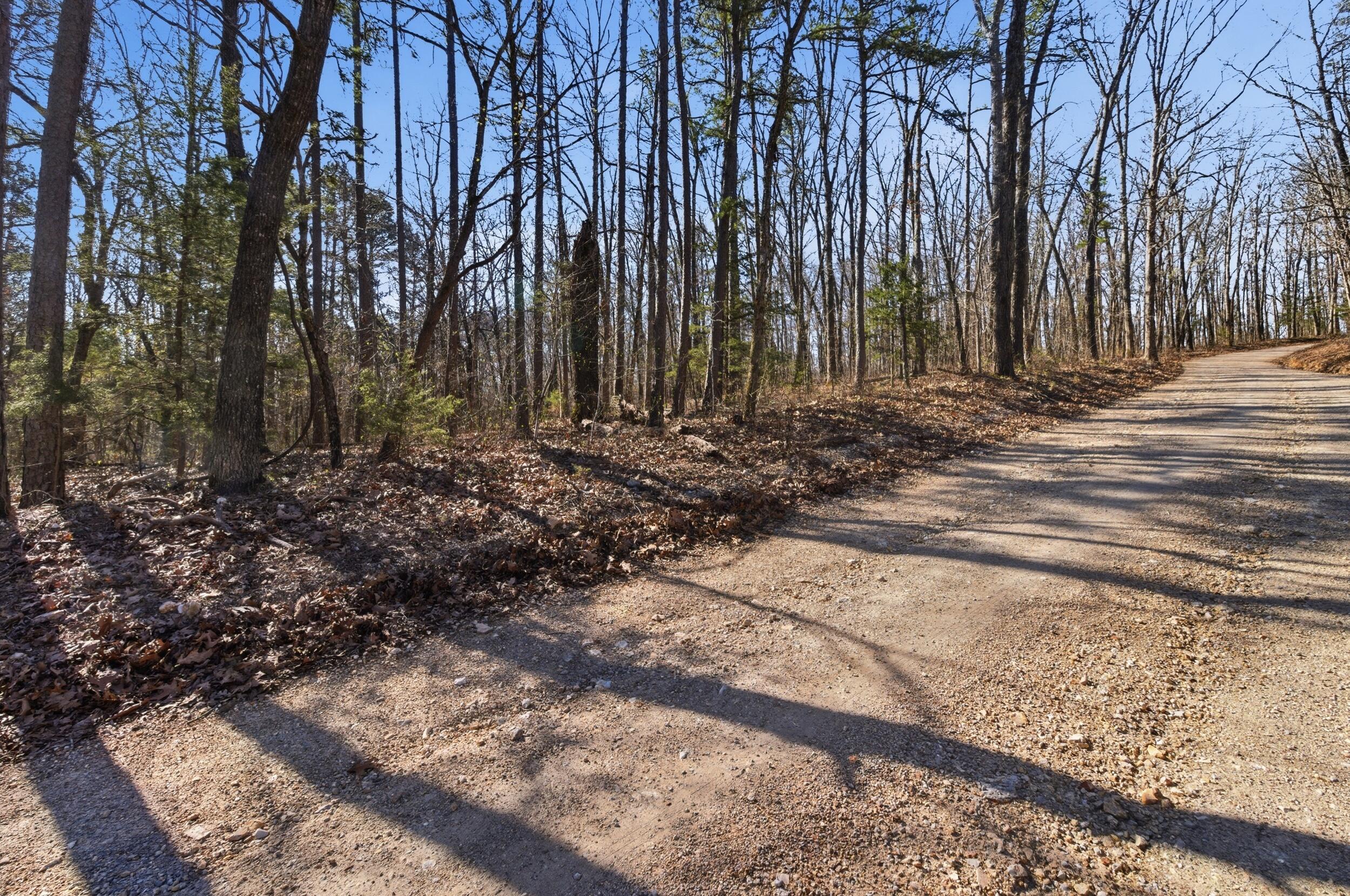 000 County Road 158 Property Photo 14