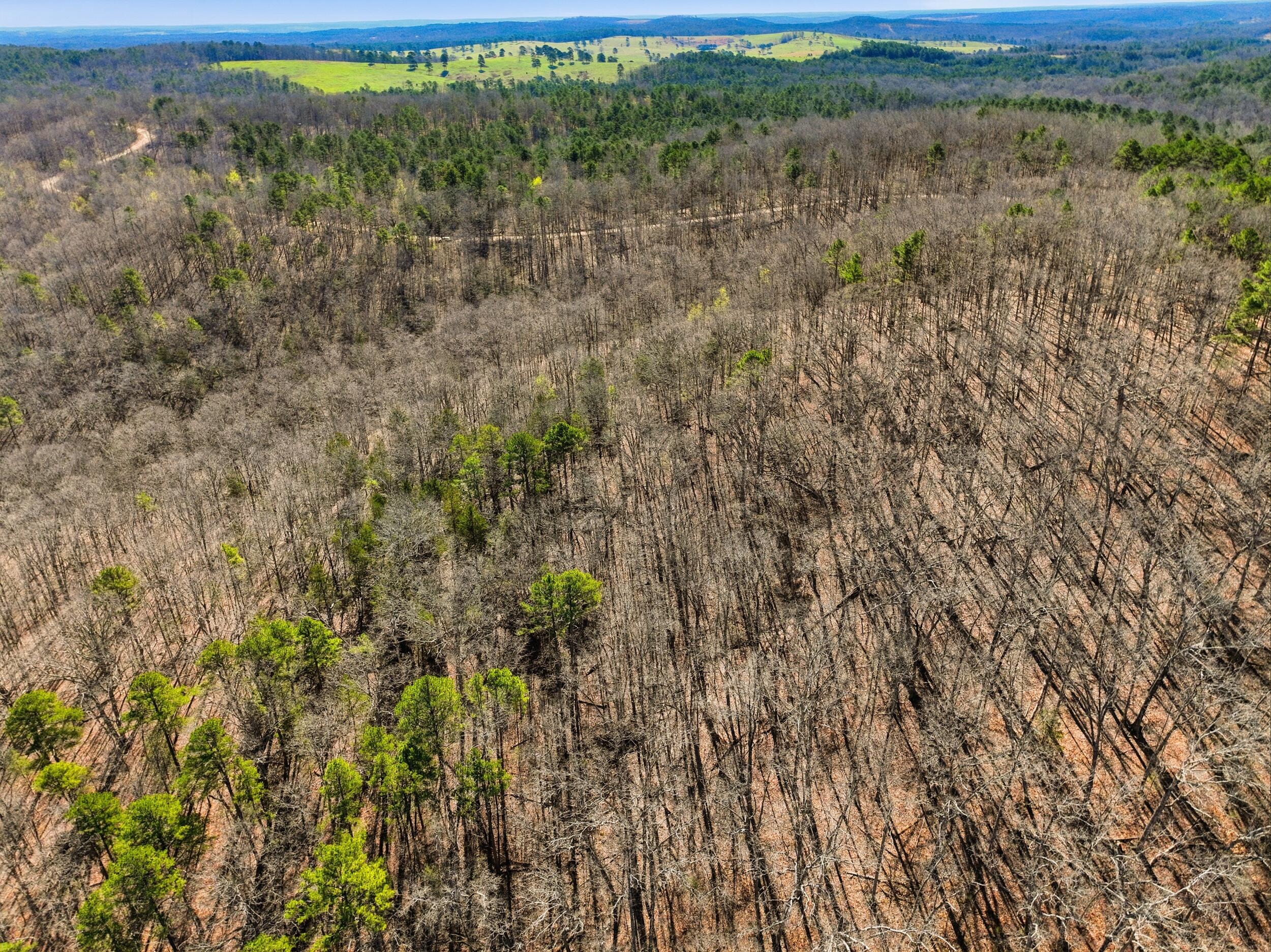 000 County Road 158 Property Photo 22