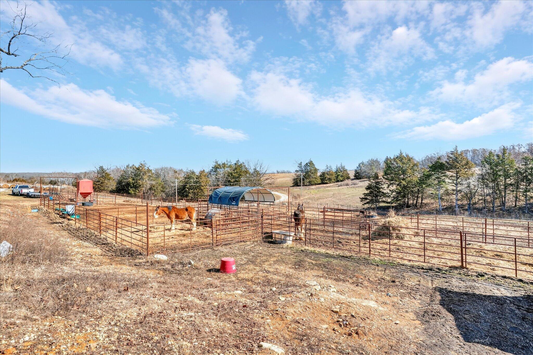 60319074 Property Photo 72