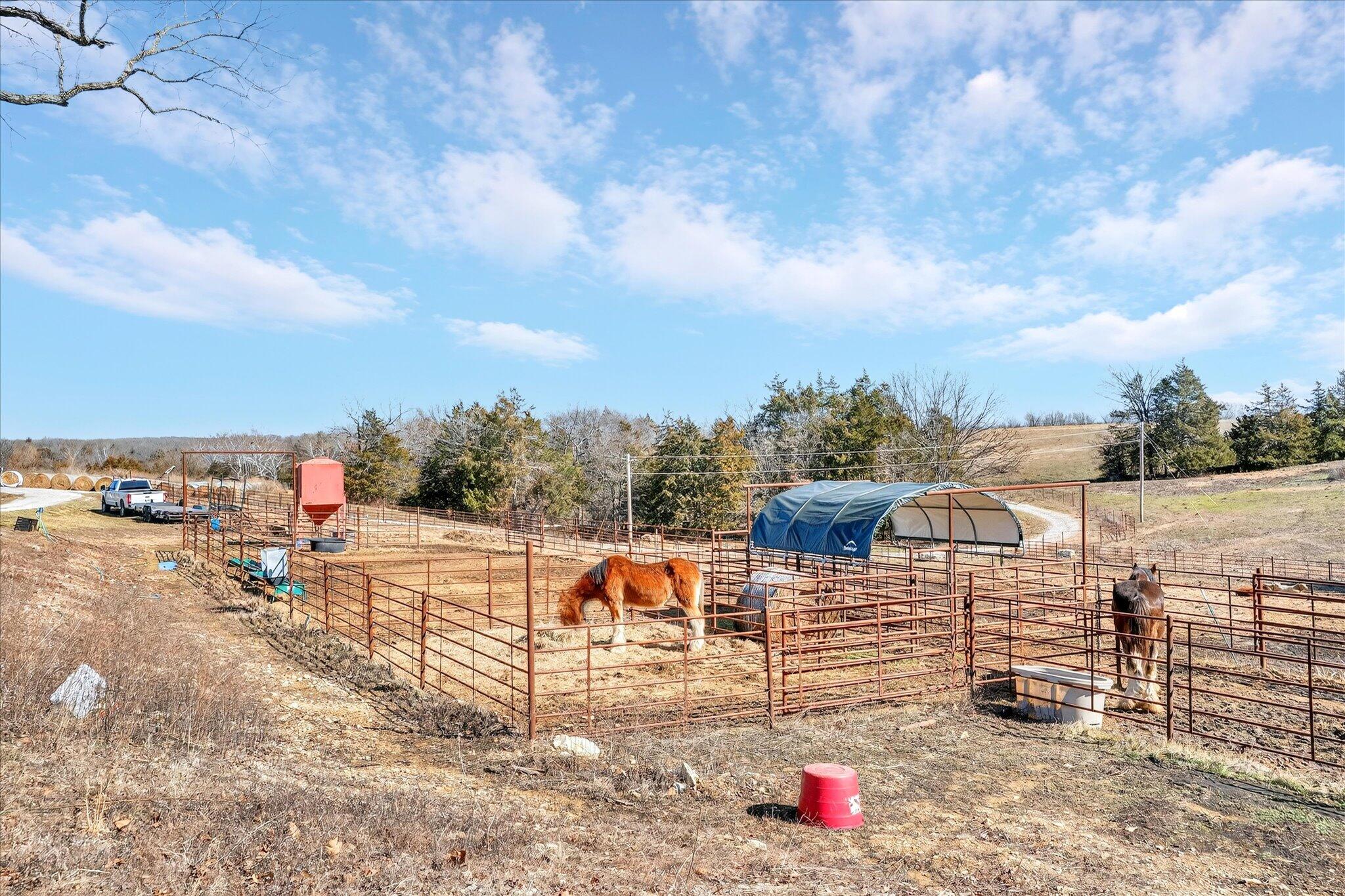 60319074 Property Photo 73