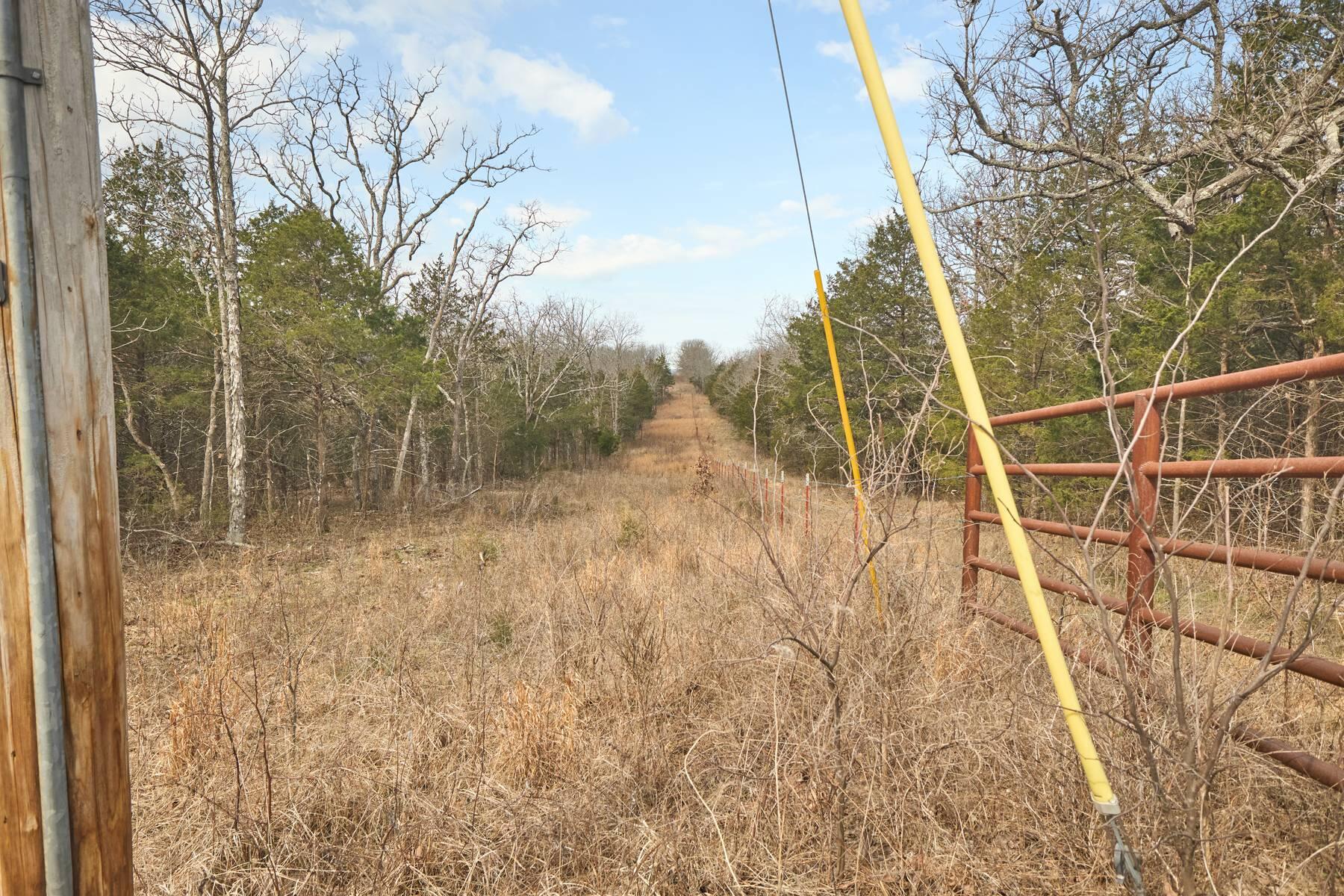 11239 Stave Mill Road Property Photo 13