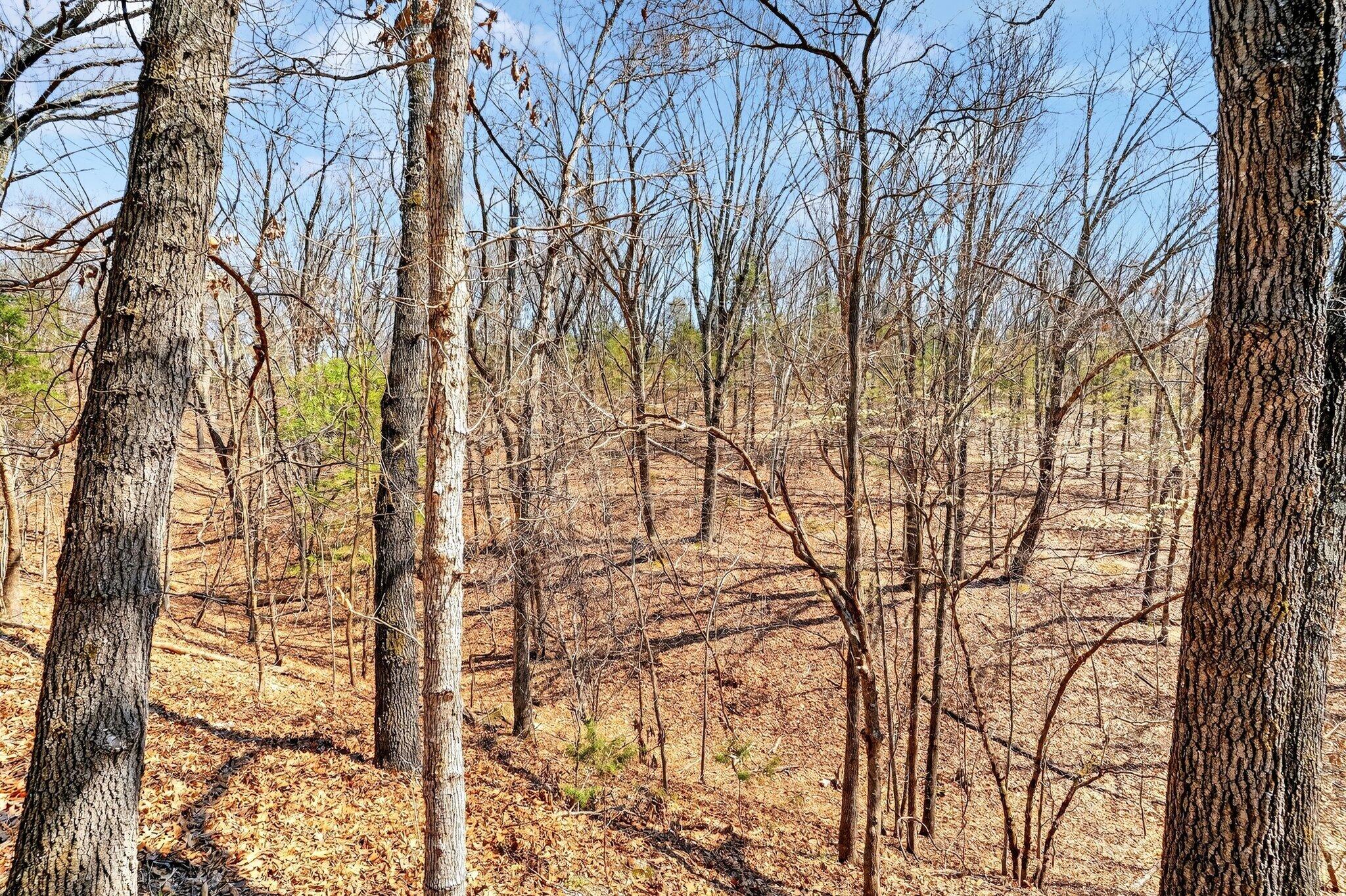 1496 State Highway Y Property Photo 49